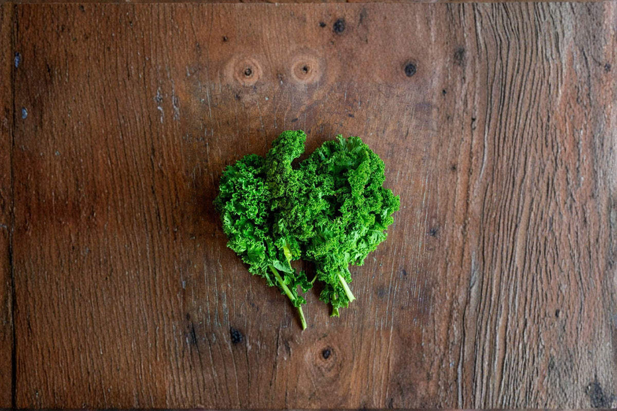 Dwarf Blue Curled Scotch Kale Seeds - 350 Heirloom Seeds for Cold-Hardy Compact Plants | Brassica oleracea var. sabellica