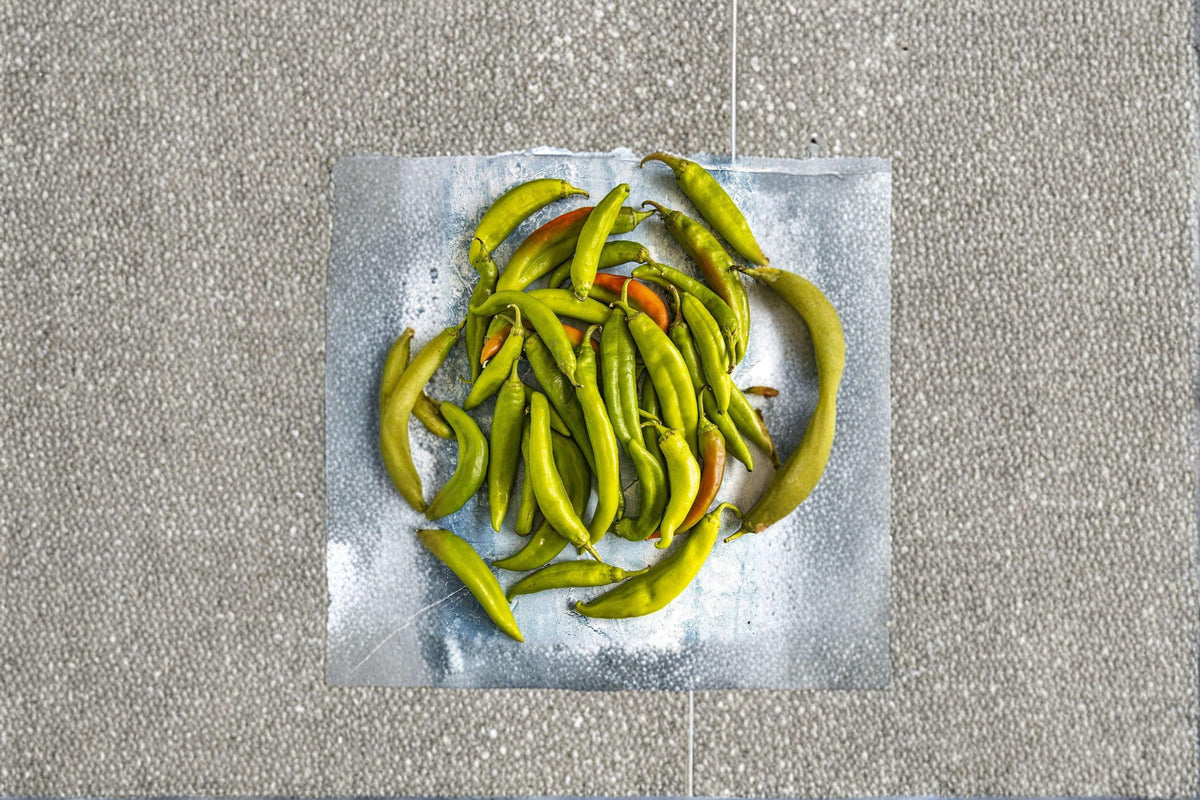 Hatch Giuzeppi Hot Pepper Seeds | 25 Seeds | Medium-Hot Chili | Capsicum annuum | Authentic New Mexico Flavor