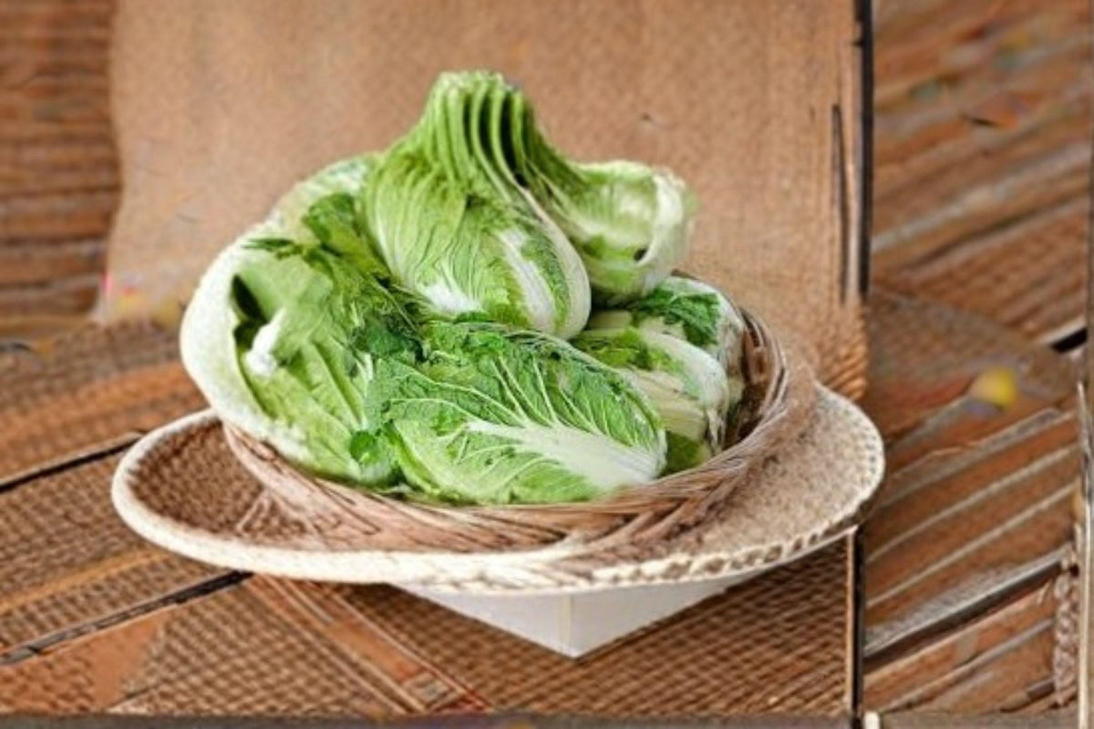 Chinese Cabbage Seeds - 150 Count Matsushima Variety - Brassica rapa subsp. pekinensis - Crisp, Mild Flavor for Home Gardens