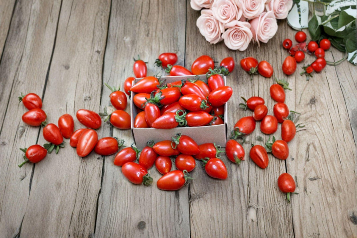 San Marzano Tomato Seeds | 30 Pack | Authentic Italian Paste Tomato | Solanum lycopersicum | Ideal for Sauce & Canning