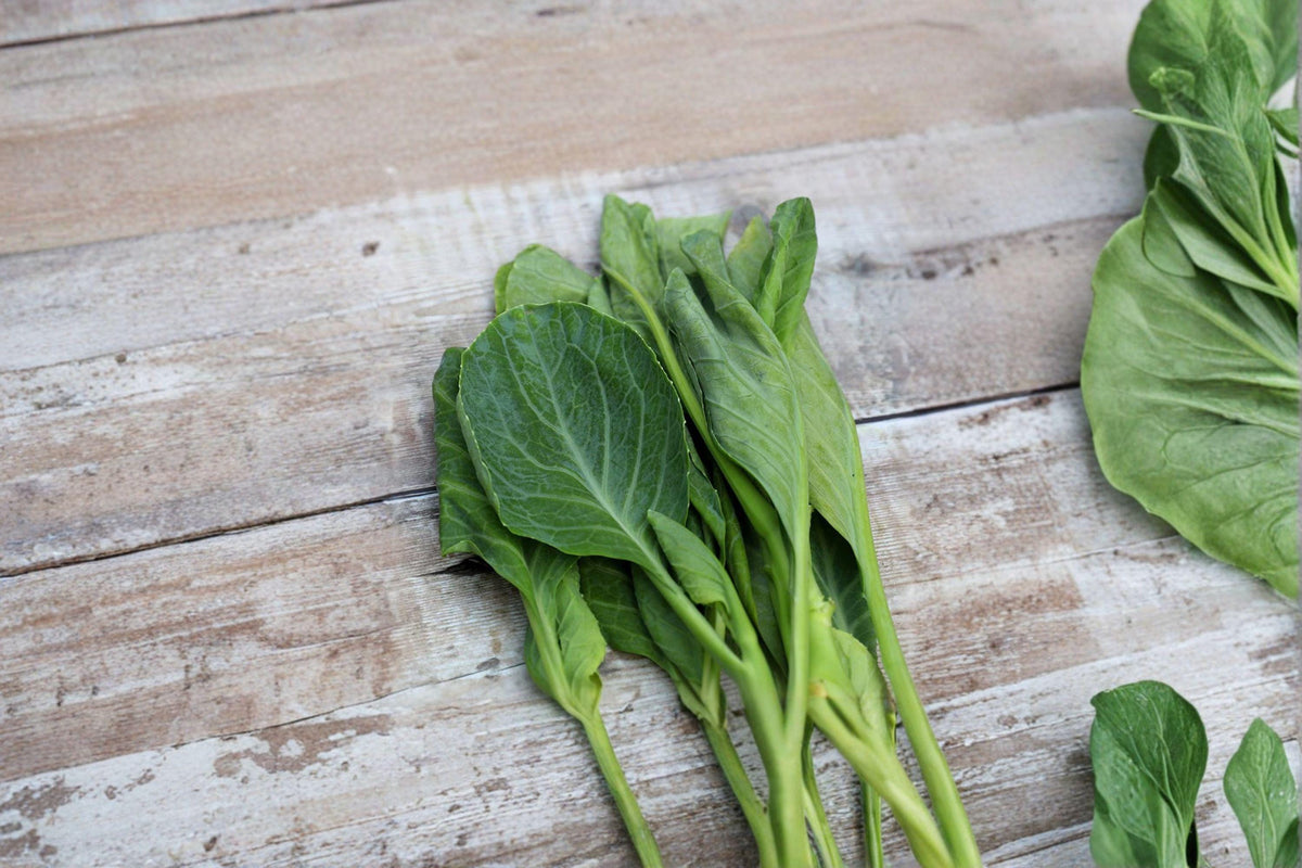 Chinese Broccoli Seeds - 150 Open Pollinated Kailaan (Gai Lan) - Brassica Oleracea - Tender Stems & Leaves for Asian Greens