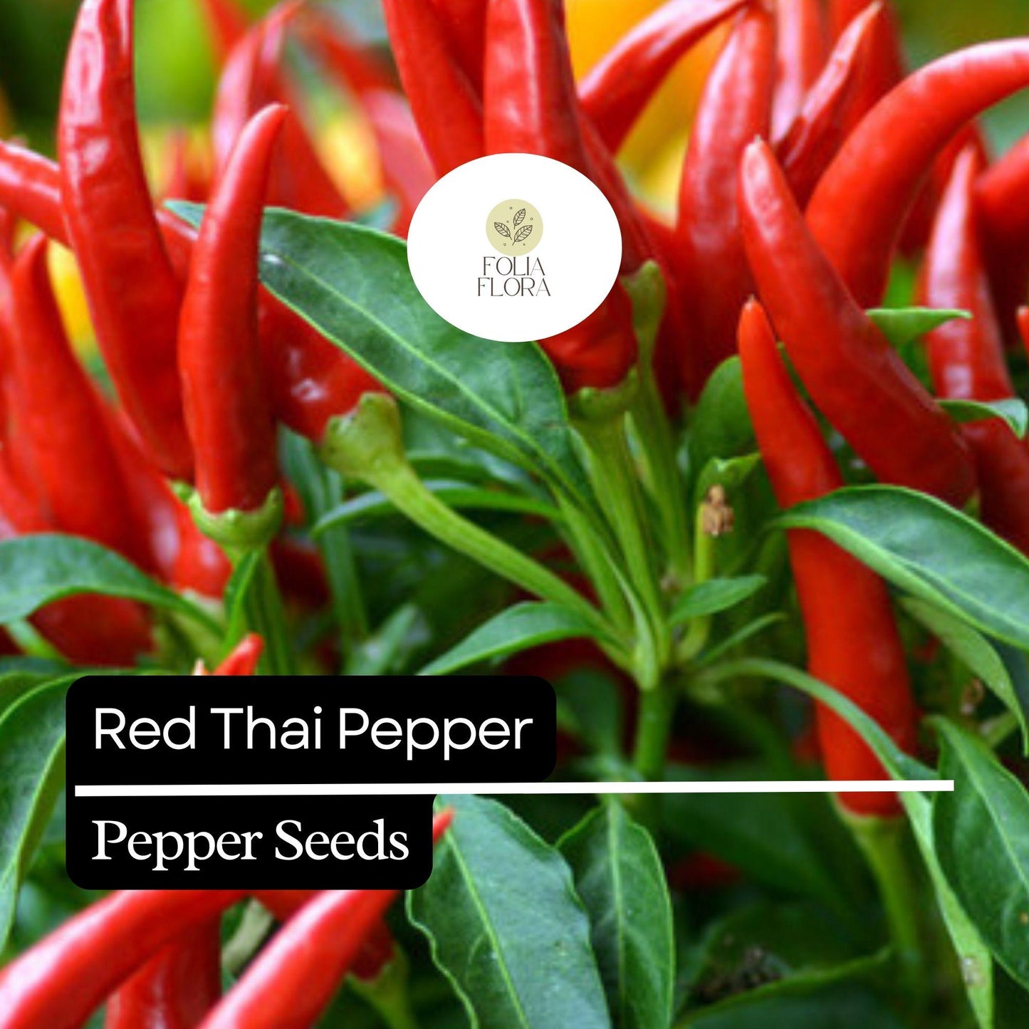 20 Red Thai Pepper Seeds – Heirloom, Non-GMO, High-Yield Spicy Chili Peppers for Garden