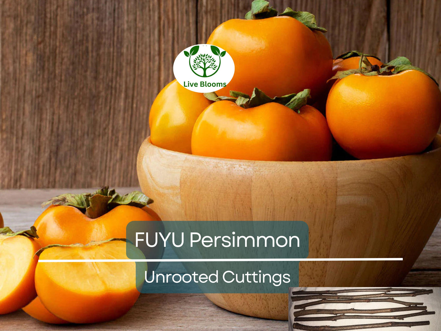 5 Unrooted 6-8" FUYU Persimmon Tree Cuttings for Grafting – Diospyros kaki Fruit Propagation
