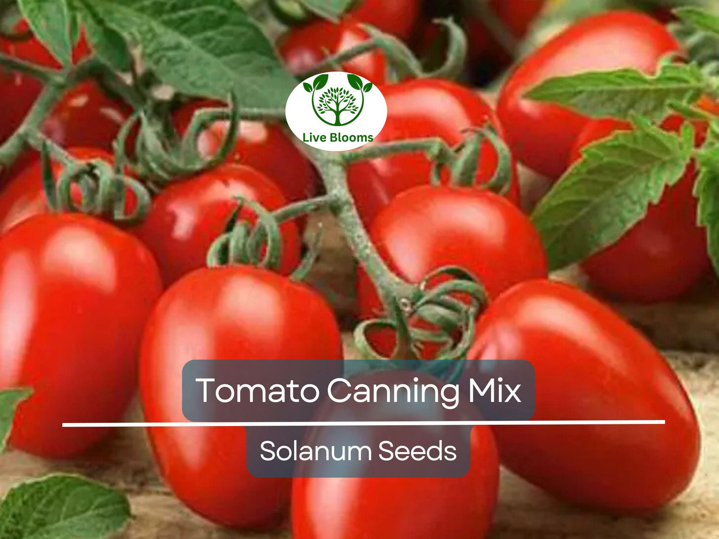 100 Heirloom Tomato Seeds Mix for Canning, Sauce & Paste | Non-GMO Indeterminate Varieties