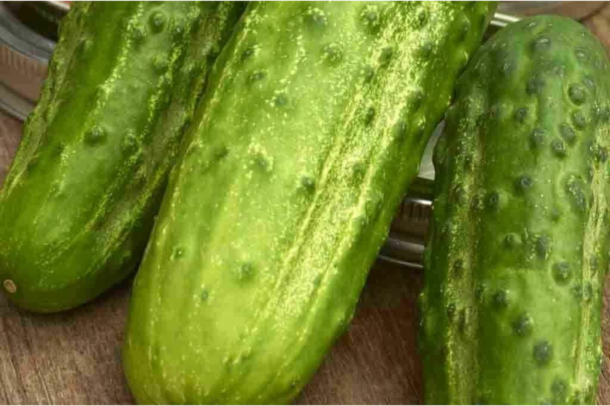 75 Boston Pickling Cucumber Seeds – Heirloom Non-GMO, Vining, Green, Cucumis sativus for Pickling & Salad Gardens