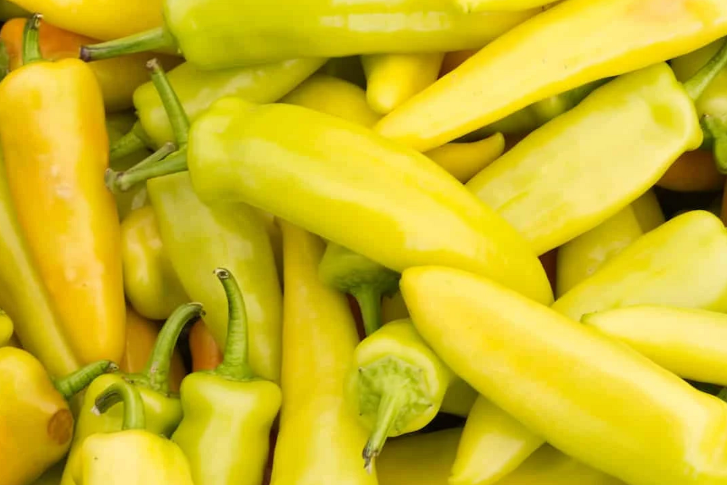 Hungarian Wax Hot Pepper Seeds – Heirloom, Non-GMO, Spicy Banana Peppers, Capsicum annuum