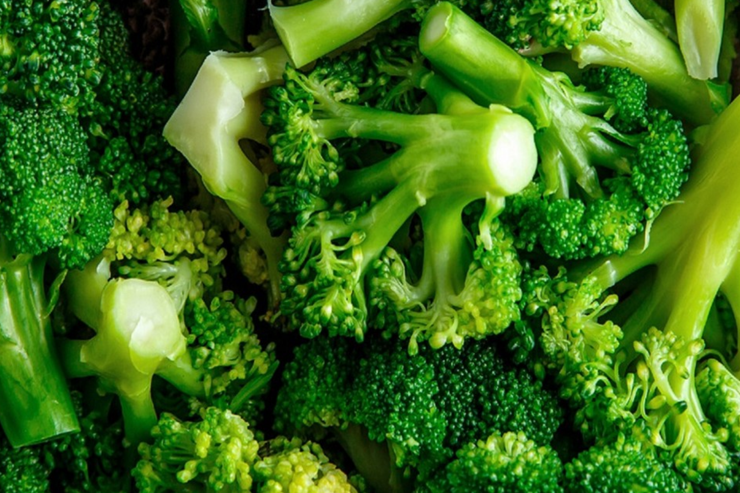 Waltham 29 Broccoli Seeds - Non-GMO Heirloom, Cold Hardy, Productive, Spring & Fall Planting, Brassica oleracea var. italica