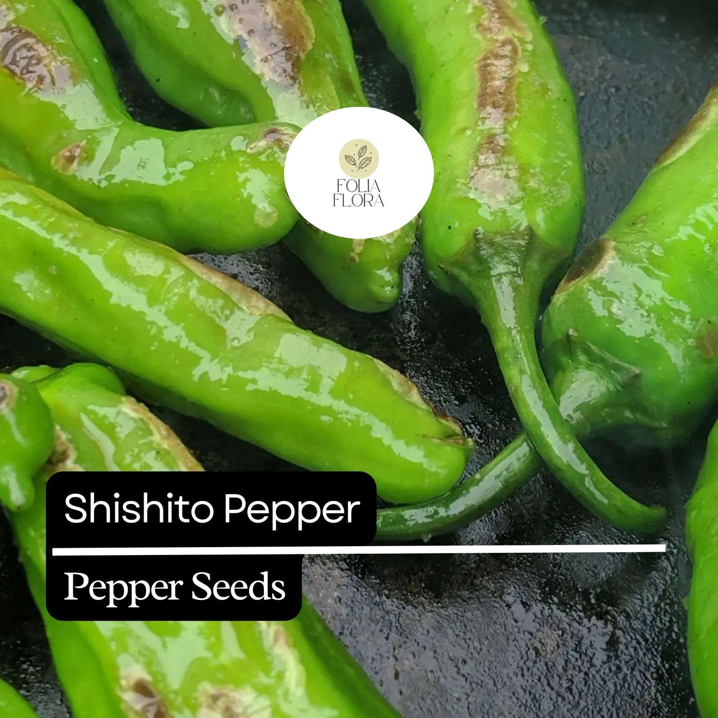 20 Shishito Pepper Seeds – Heirloom, Non-GMO, Mild & Sweet Peppers for Easy Growing