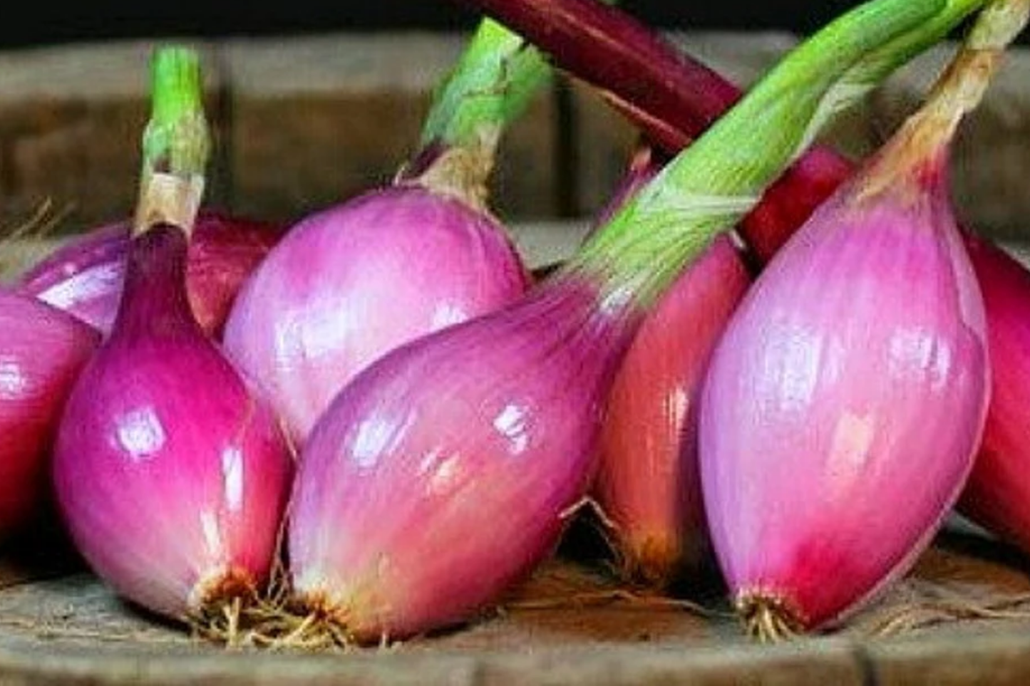 Red Long of Tropea Onion Seeds - Non-GMO Heirloom Gourmet Italian Bunching Onion Seeds