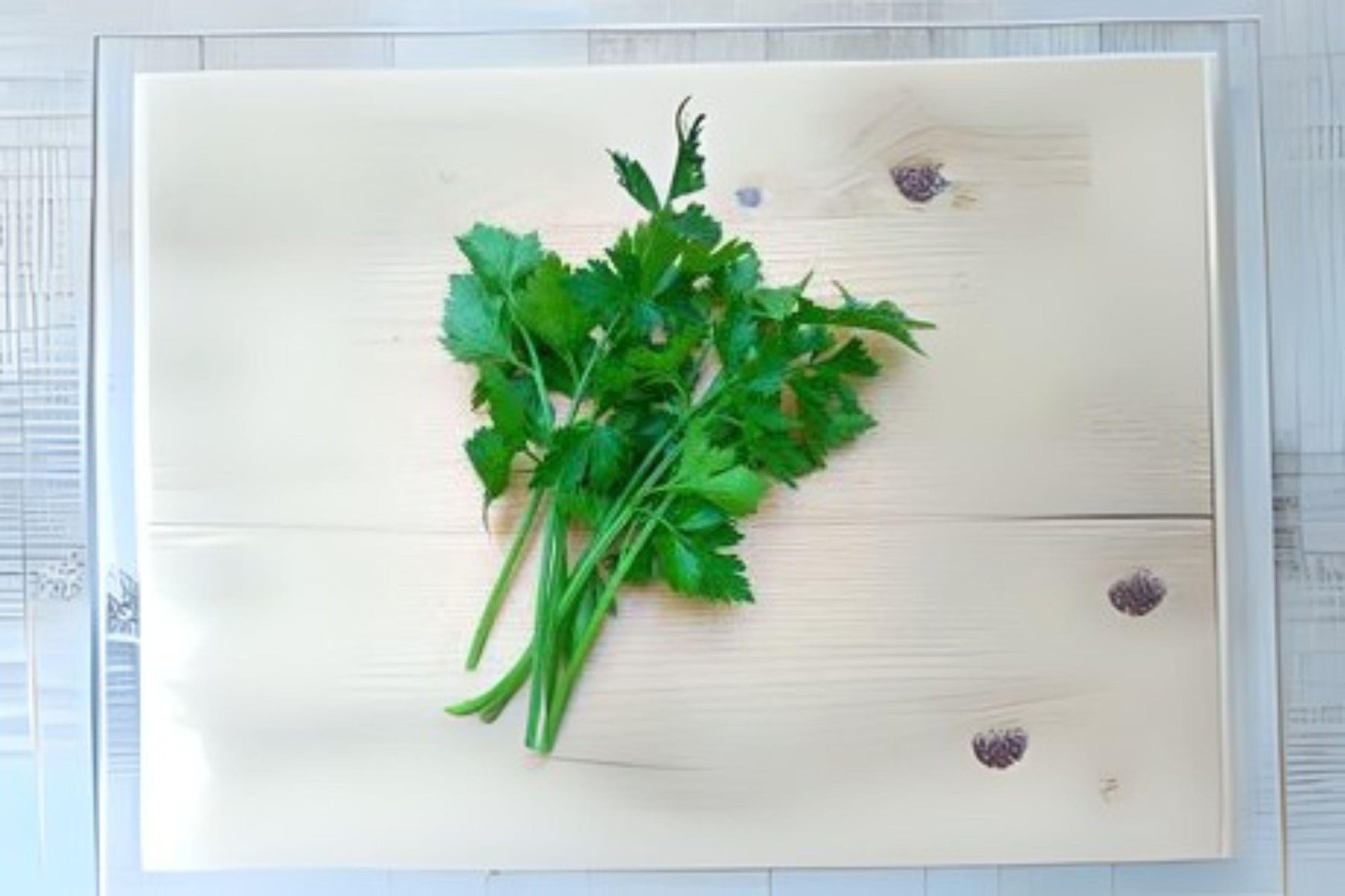 Chinese Celery Kintsai Seeds - Aromatic Dark Green Heirloom, Thin Stalks, Asian Cooking, Apium graveolens var. secalinum