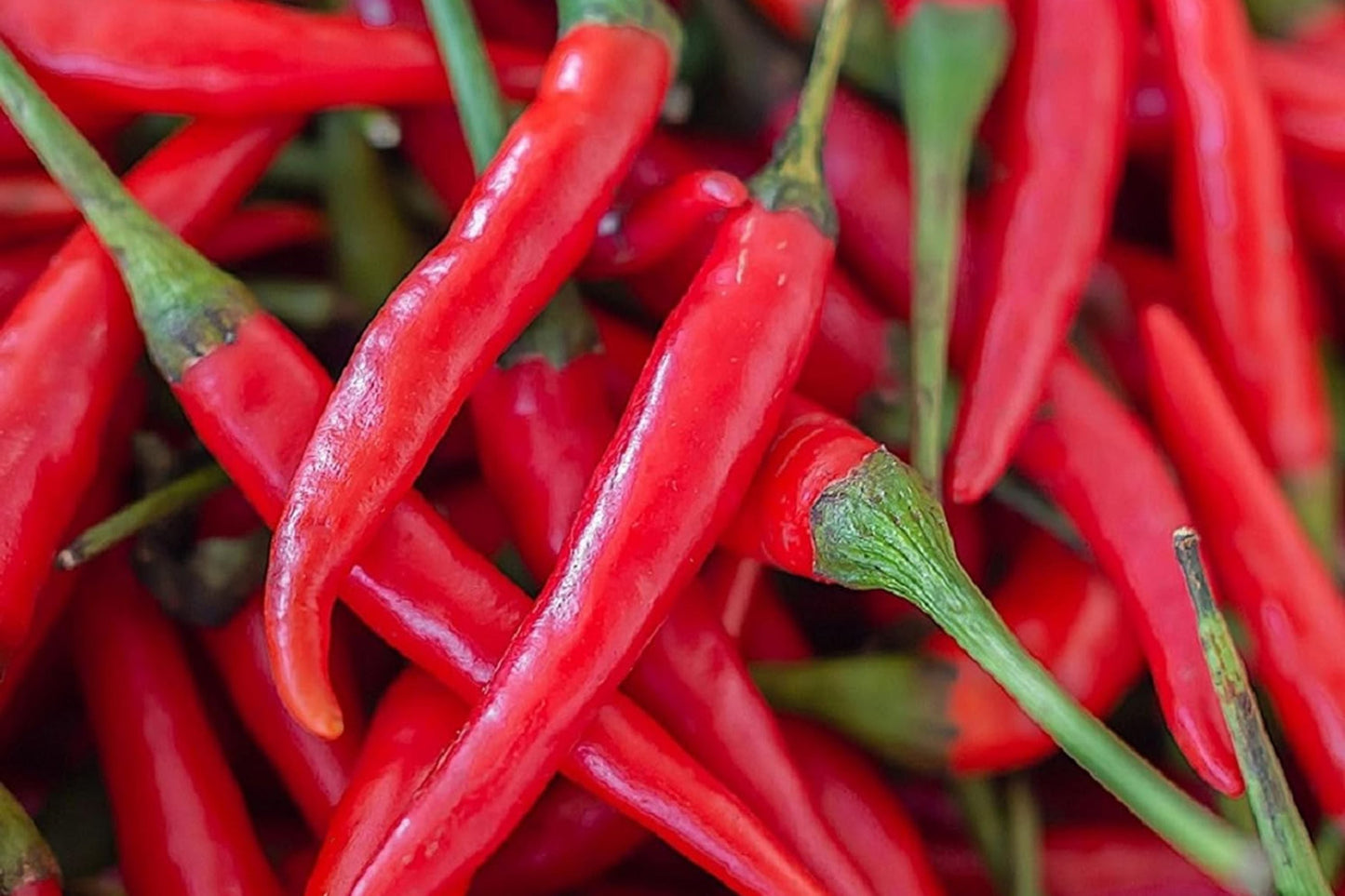 Hot Cayenne Long Slim Pepper Seeds - 40+ NON-GMO Heirloom Capsicum annuum