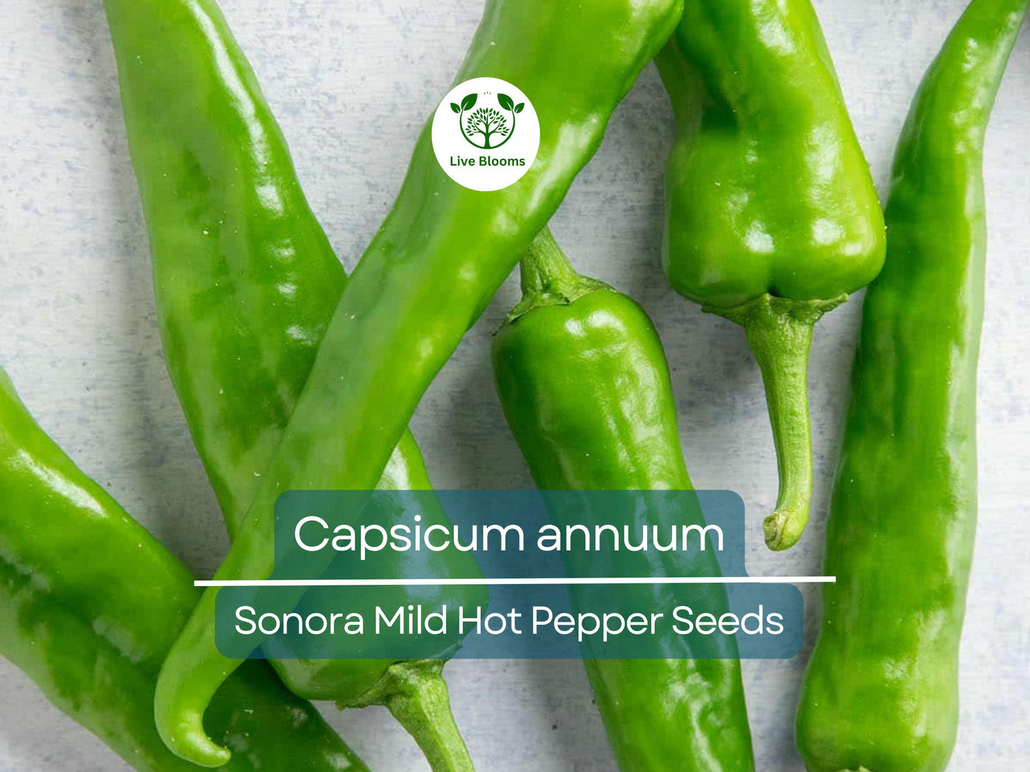 250 mg Sonora Mild Hot Pepper Seeds - Heirloom Capsicum annuum for Mild Heat and Flavorful Cooking
