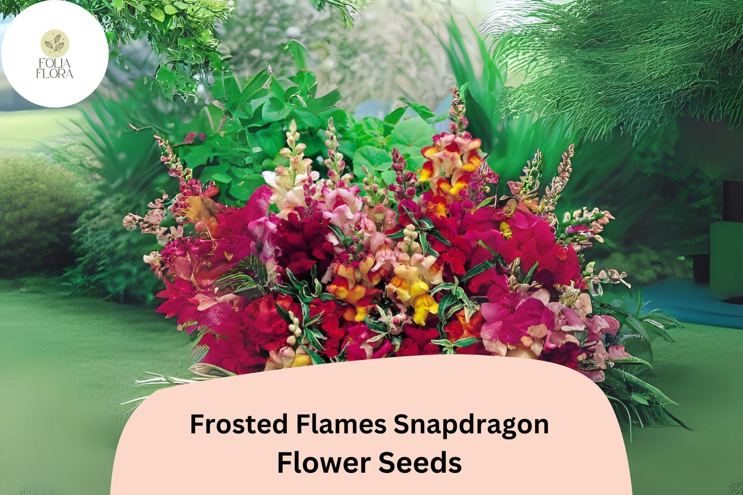 Antirrhinum majus Frosted Flames Snapdragon Seeds – 1000+ Heirloom Seeds for Vibrant, Pollinator-Friendly Gardens