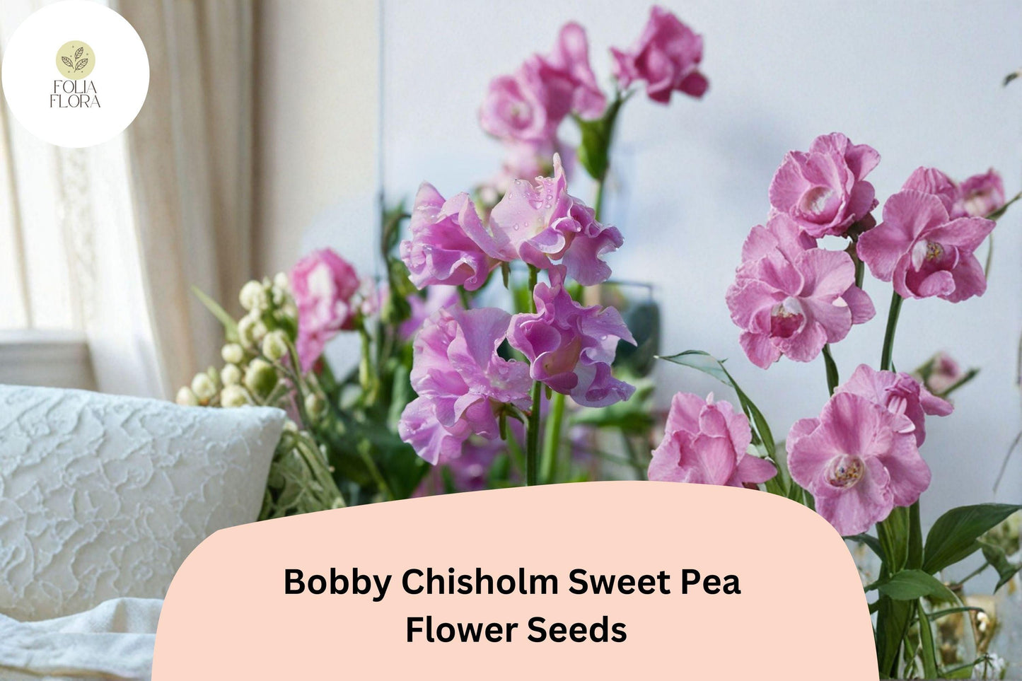 Bobby Chisholm Sweet Pea Seeds - 50+ Pink Fragrant Climbing Flowers for Garden Trellises