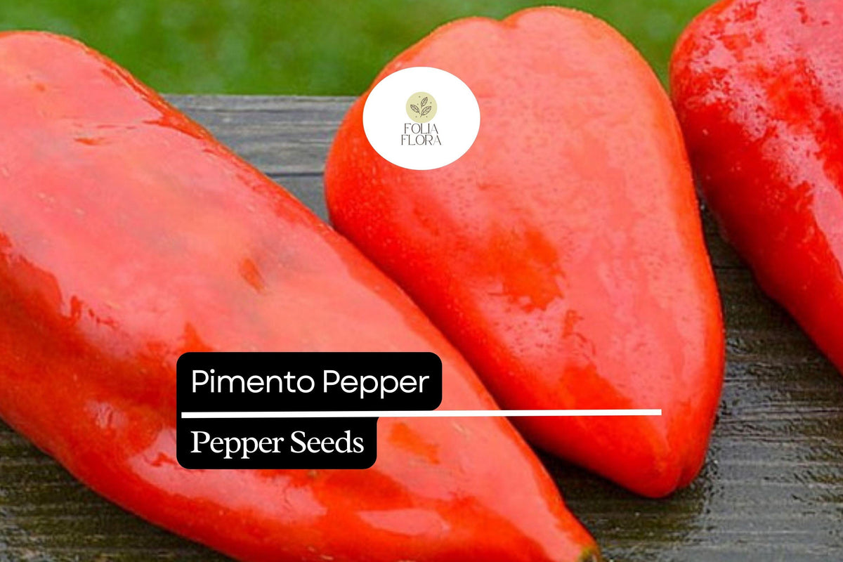Pimento Pepper Seeds - 25 Count - Sweet Mild Heirloom Variety (Capsicum annuum) - Bright Red, Ideal for Fresh Eating & Preserving