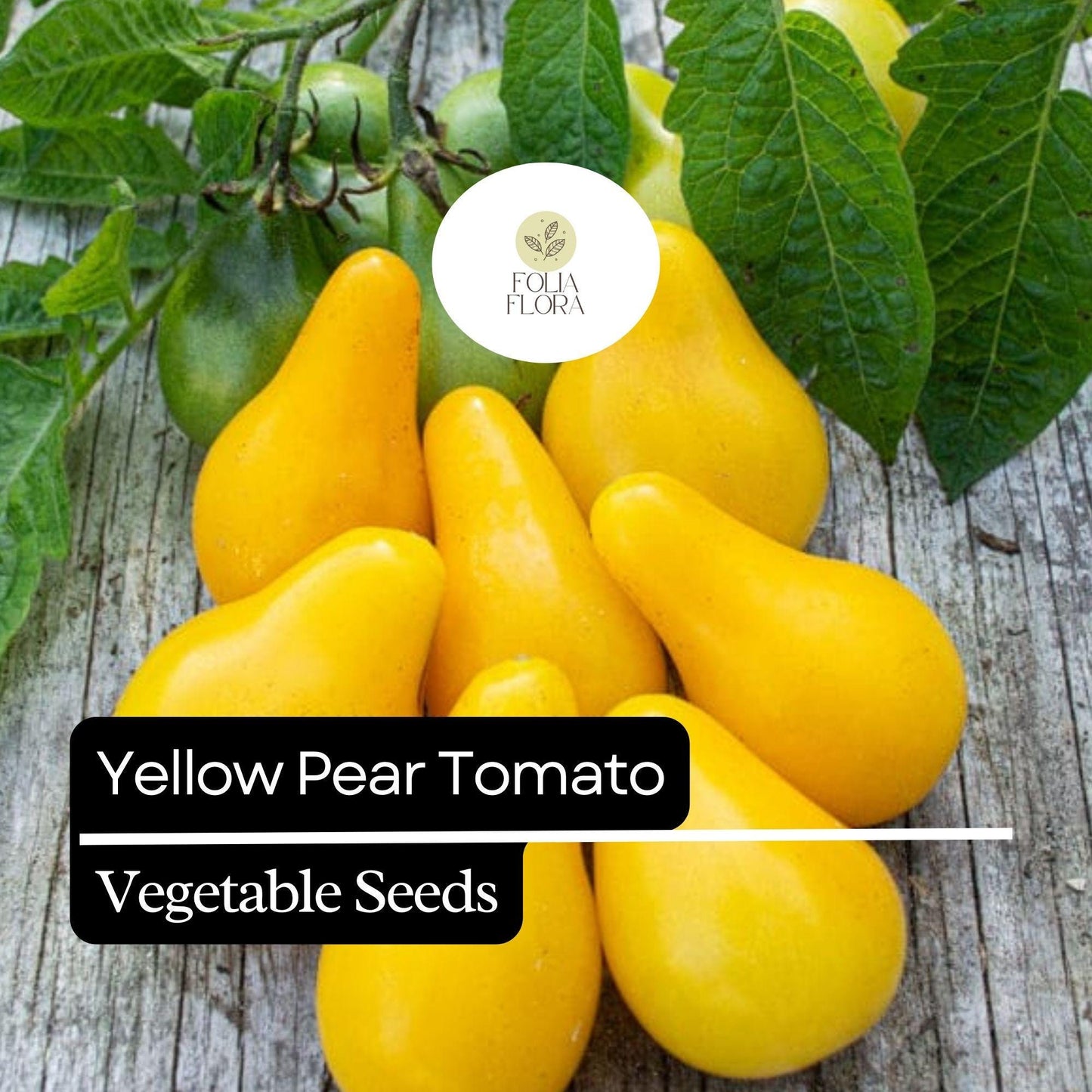 30 Yellow Pear Tomato Seeds – Heirloom, Sweet & Juicy, Non-GMO, Prolific Vine, Easy to Grow