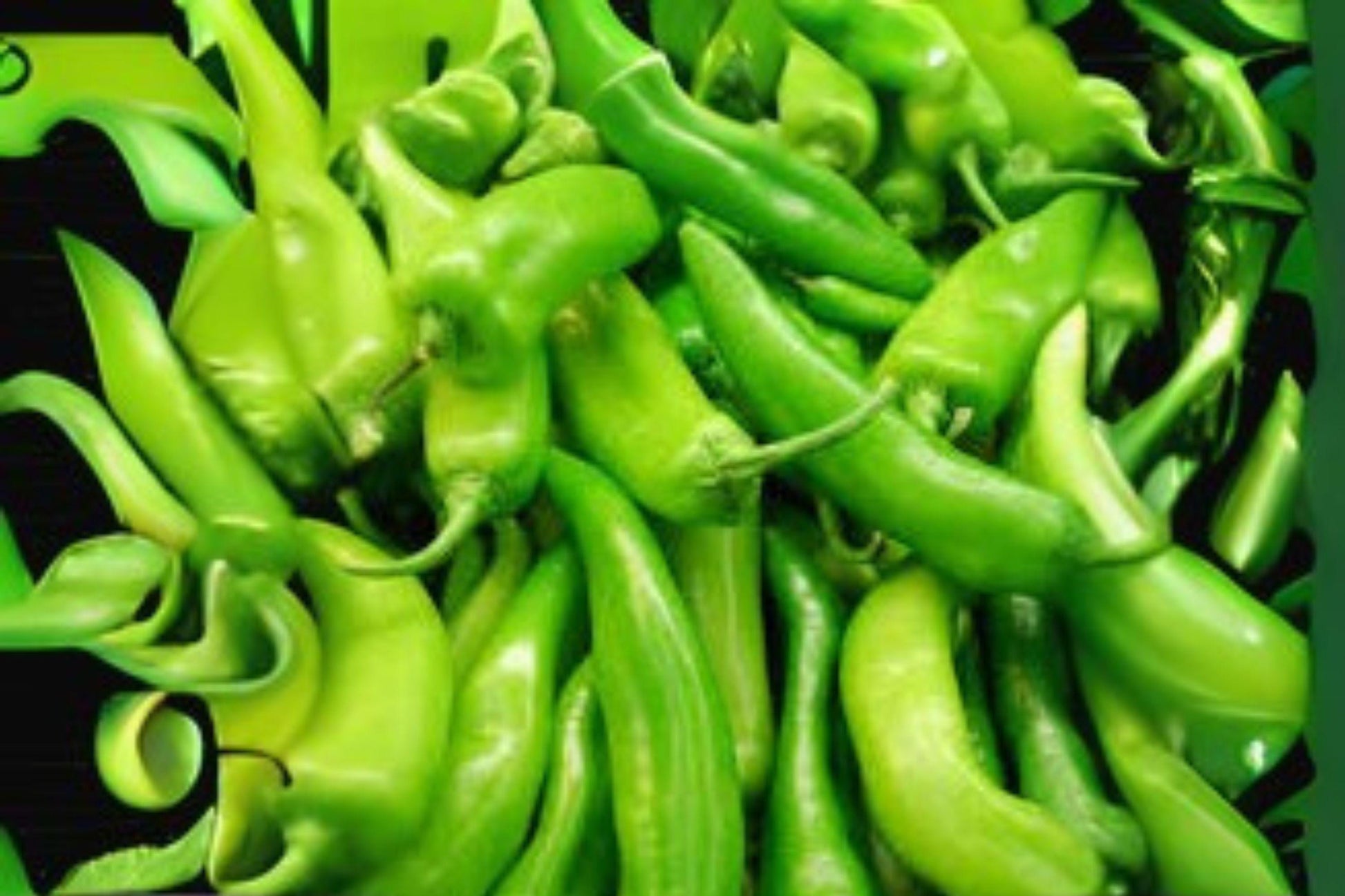 Sonora Mild Hot Pepper Seeds, 250mg, Long Smooth Chili, Capsicum annuum, Mild Heat, Perfect for Salsas & Roasting