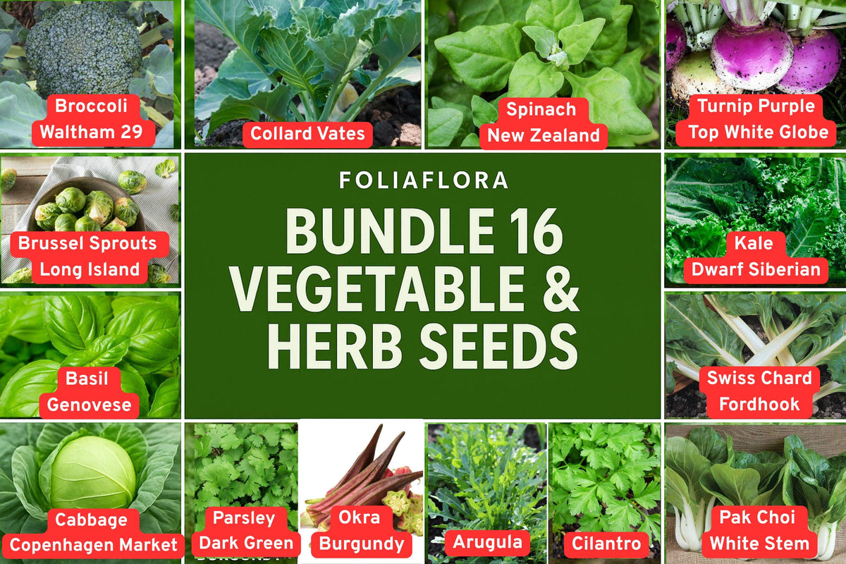 16 Vegetable & Herb Seed Bundle - Kale, Basil, Cabbage, Spinach & More - Non-GMO Home Gardening Seeds for Easy Planting