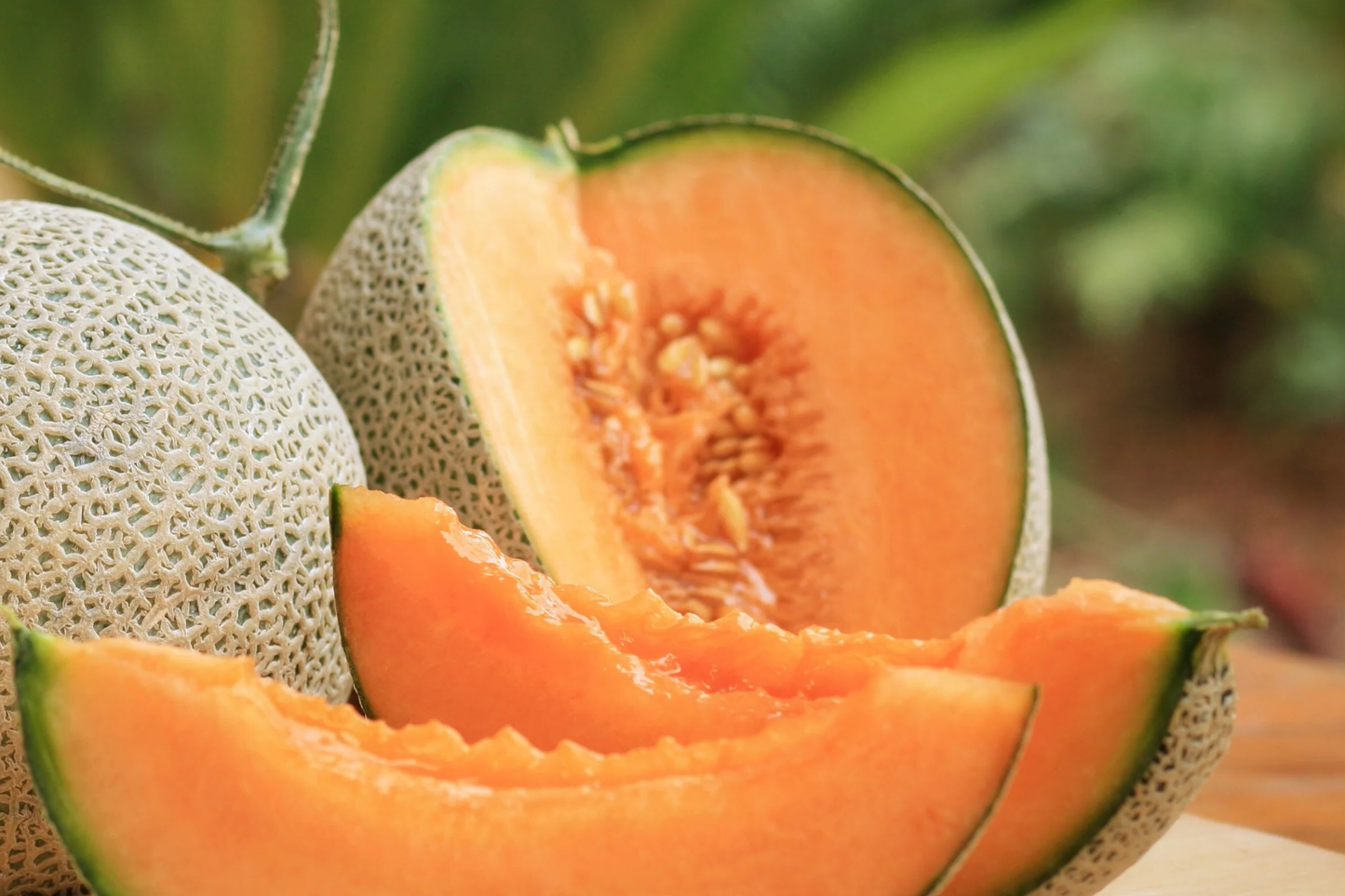 25pcs Cantaloupe Melon Seeds - Heirloom Cucumis melo for Backyard & Container Gardening