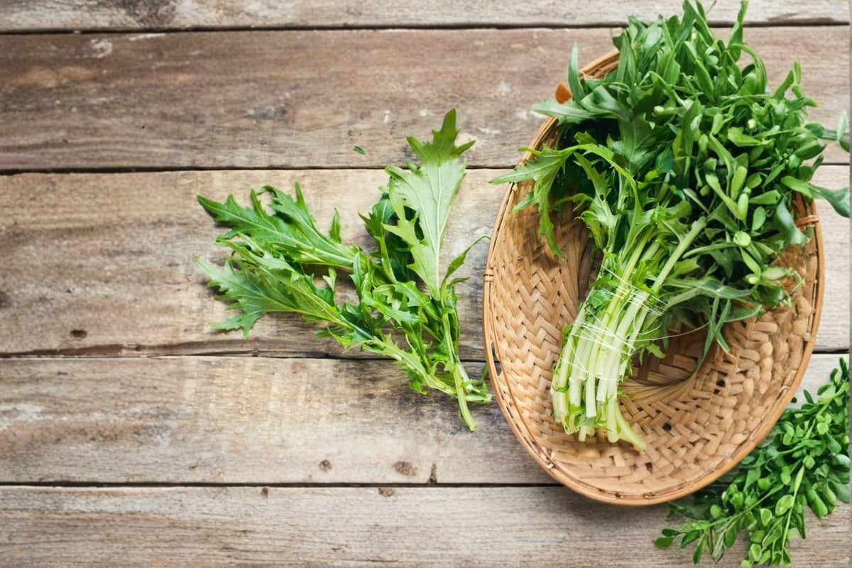 Mizuna Seeds - 300 Count - Japanese Mustard Green - Brassica rapa var. nipposinica - Mild Feathery Leaves - Fast-Growing