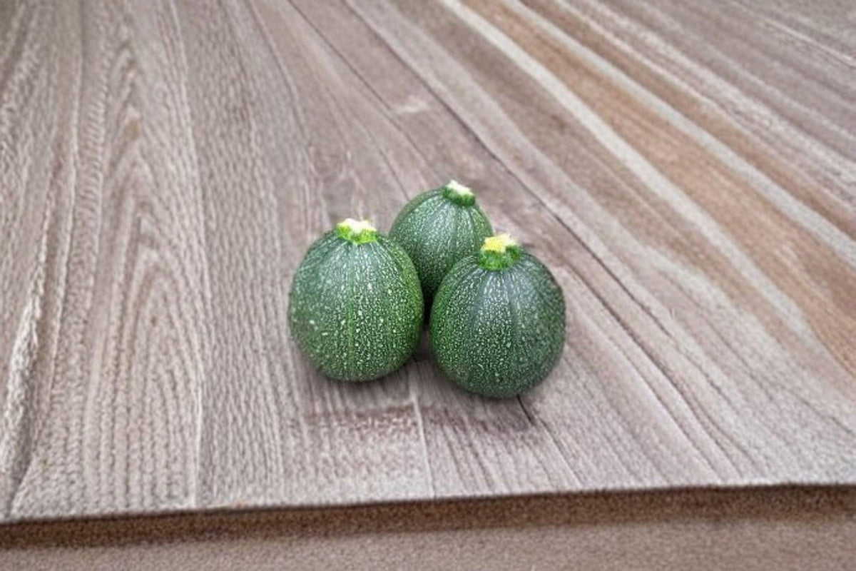 Round Zucchini Seeds – 10 Heirloom Seeds, Compact Summer Squash, Tender Flesh, Cucurbita pepo