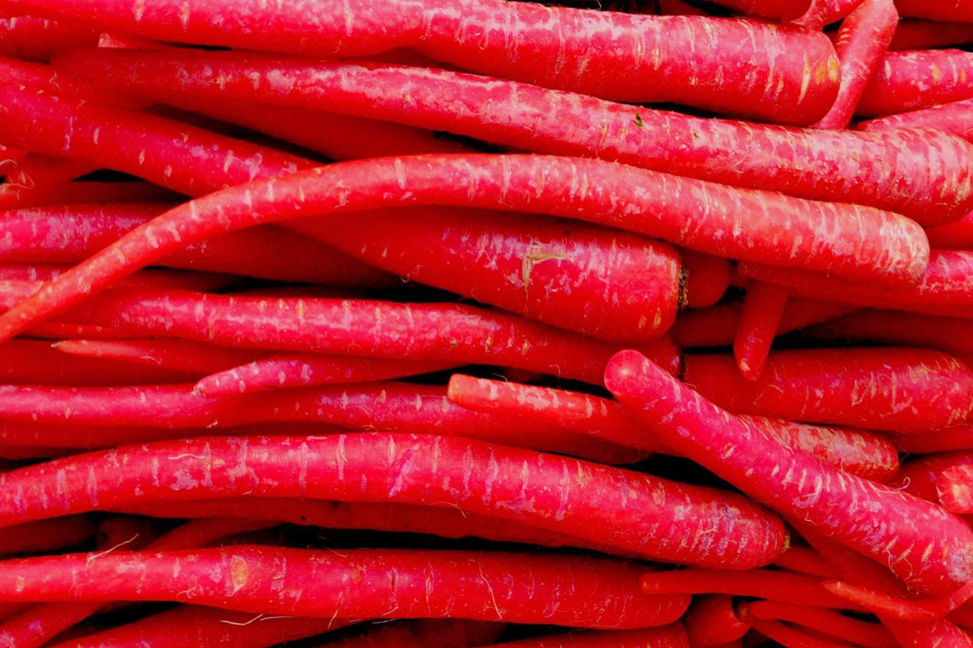 Red Carrot Seeds 1000pcs - Heirloom Sweet Root Vegetable for Home Gardens - Daucus carota