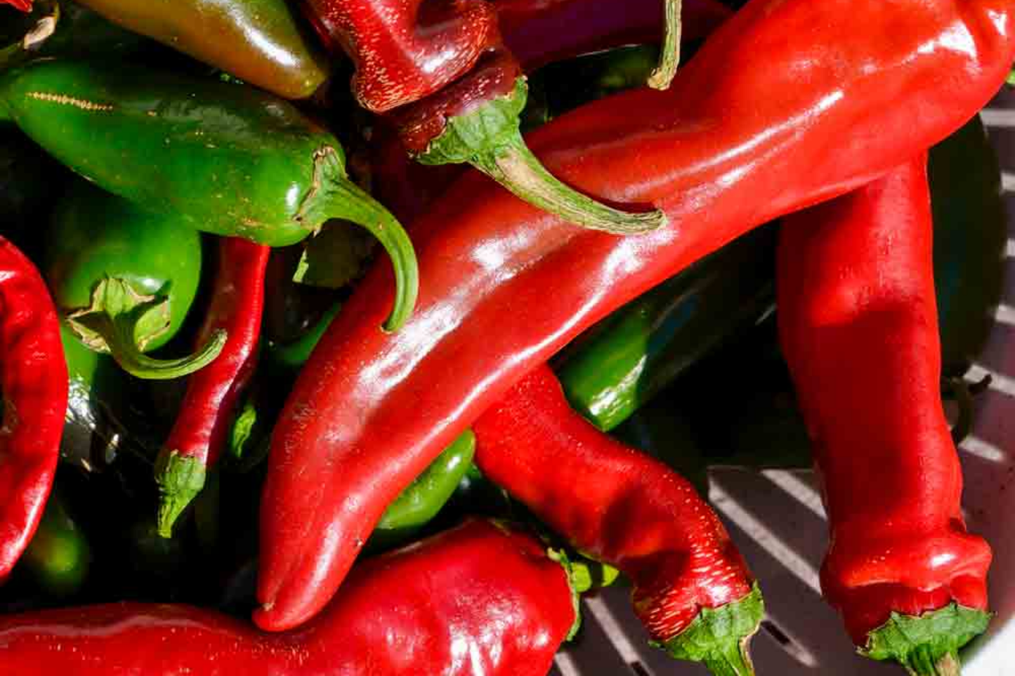 Hot Portugal Pepper Seeds – Heirloom Capsicum annuum, Medium-Hot Chili, Early Maturing, Non-GMO, Spicy Peppers for Cooking & Drying