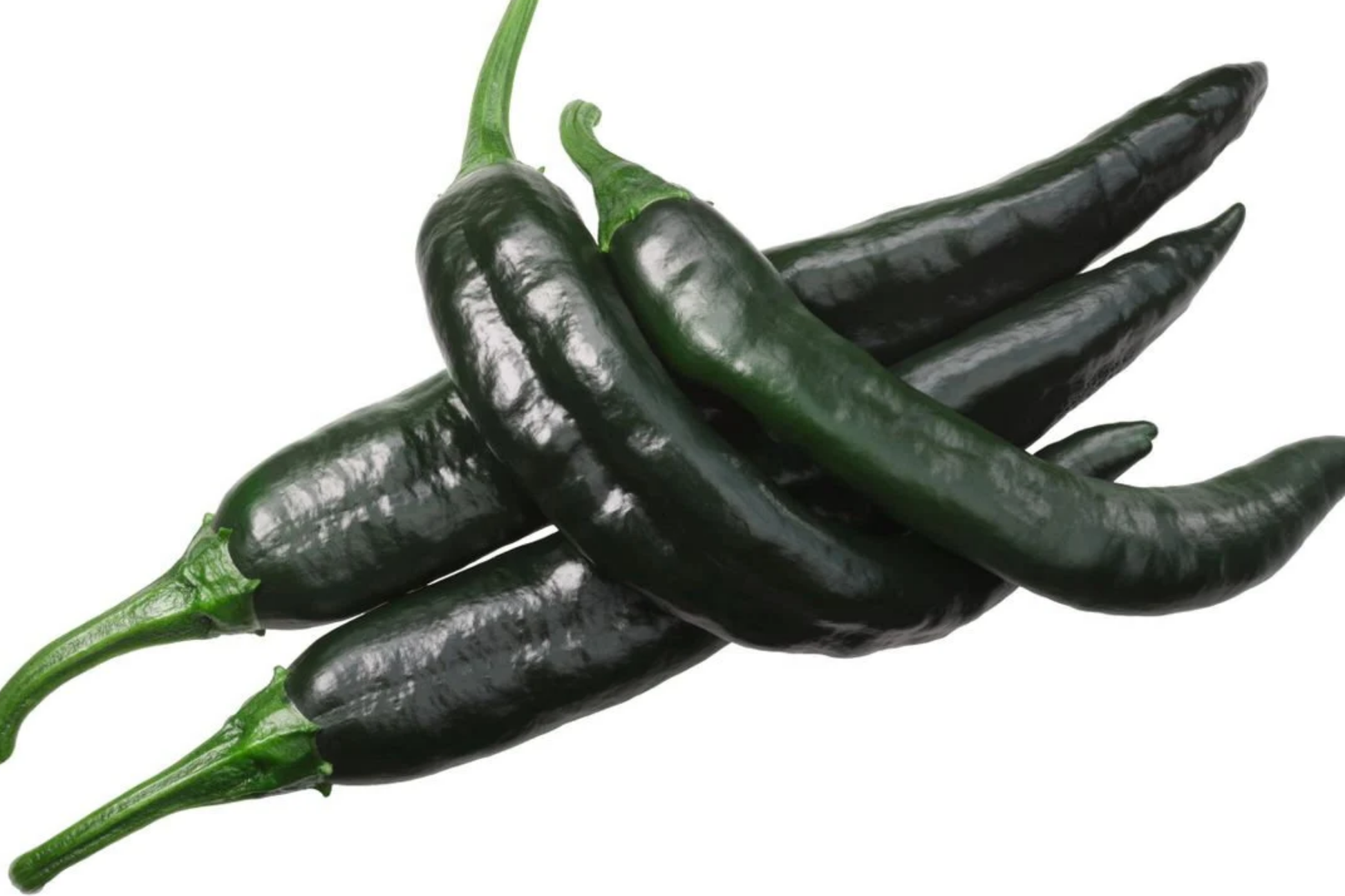 25 Seeds Pasilla Bajio Chilaca Pepper Seeds - Capsicum annuum, Mild Smoky Mexican Chili for Salsas & Sauces