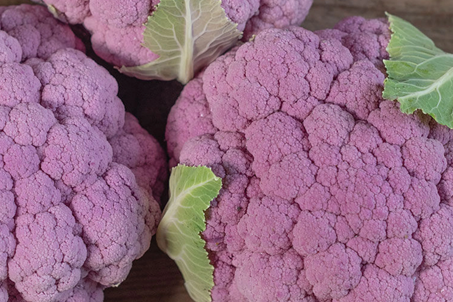Cauliflower Self-Blanching Seeds 1g | Brassica oleracea | Easy-Grow, Mild Flavor Vegetable
