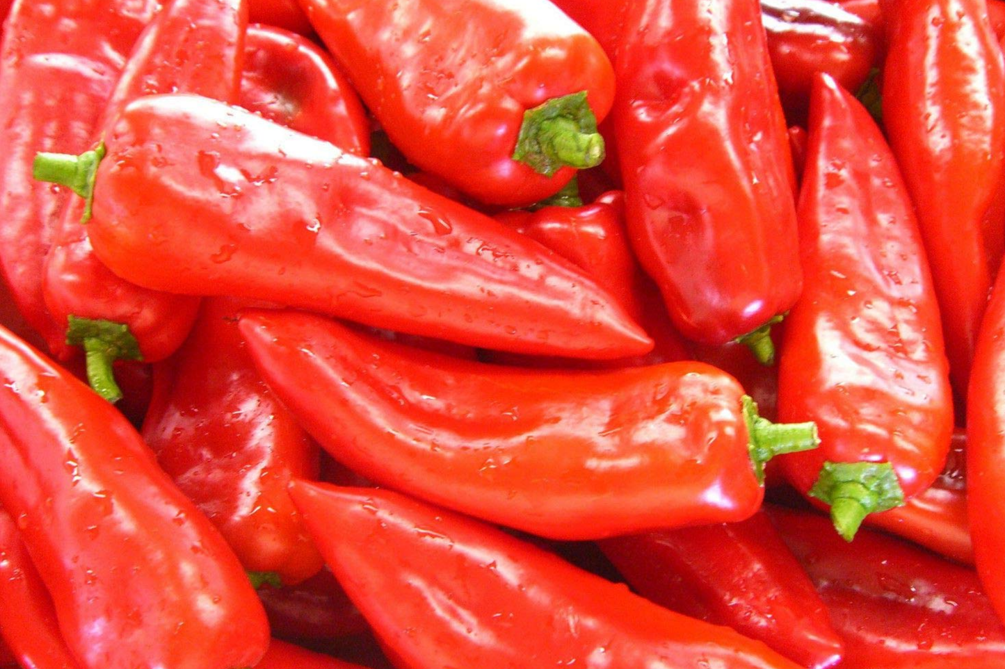 250mg Cubanelle Sweet Pepper Seeds | Capsicum annuum Mild & Sweet for Frying & Salads