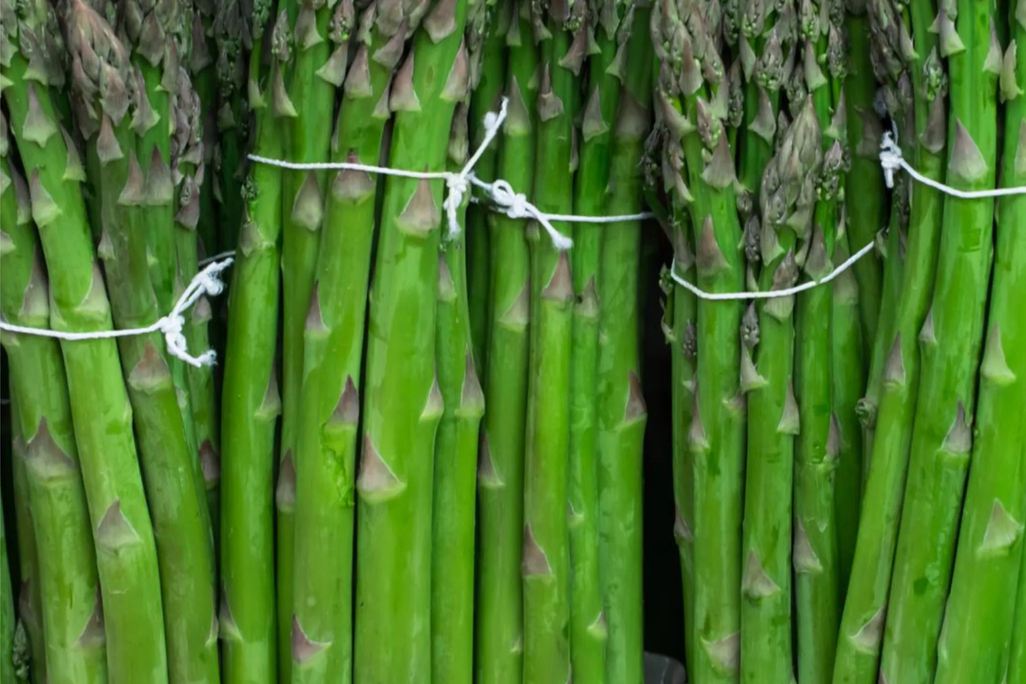 50pcs Mary Washington Asparagus Seeds - Heirloom Perennial Vegetable, Non-GMO Green Spears, Edible Garden Planting, Asparagus officinalis