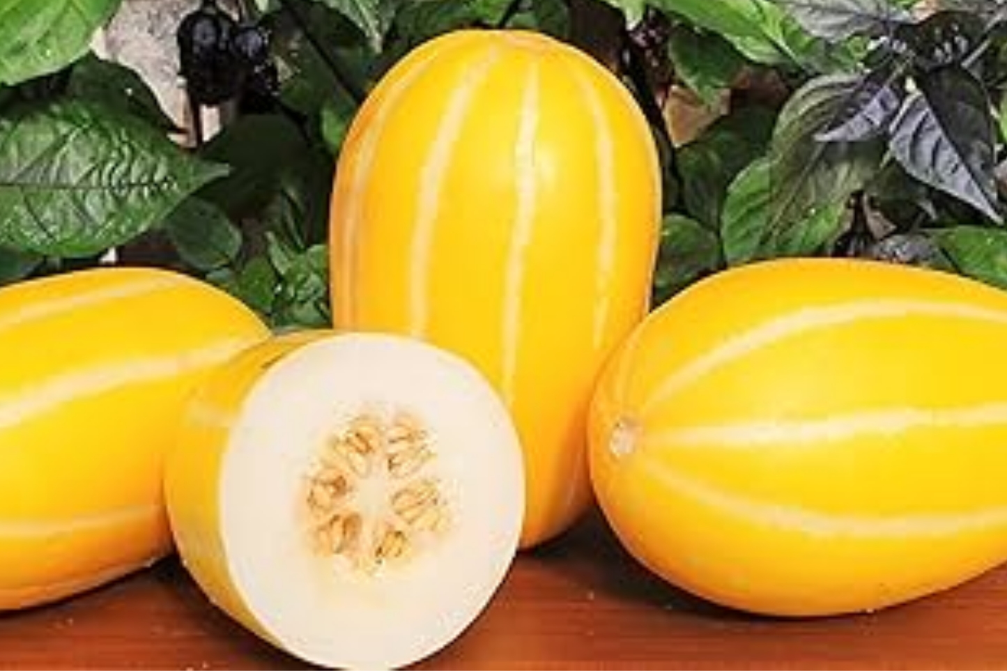 Korean Melon Seeds, Heirloom, Non-GMO, Summer Fruit, Cucumis melo var. makuwa, Sweet Asian Fruit for Home Garden