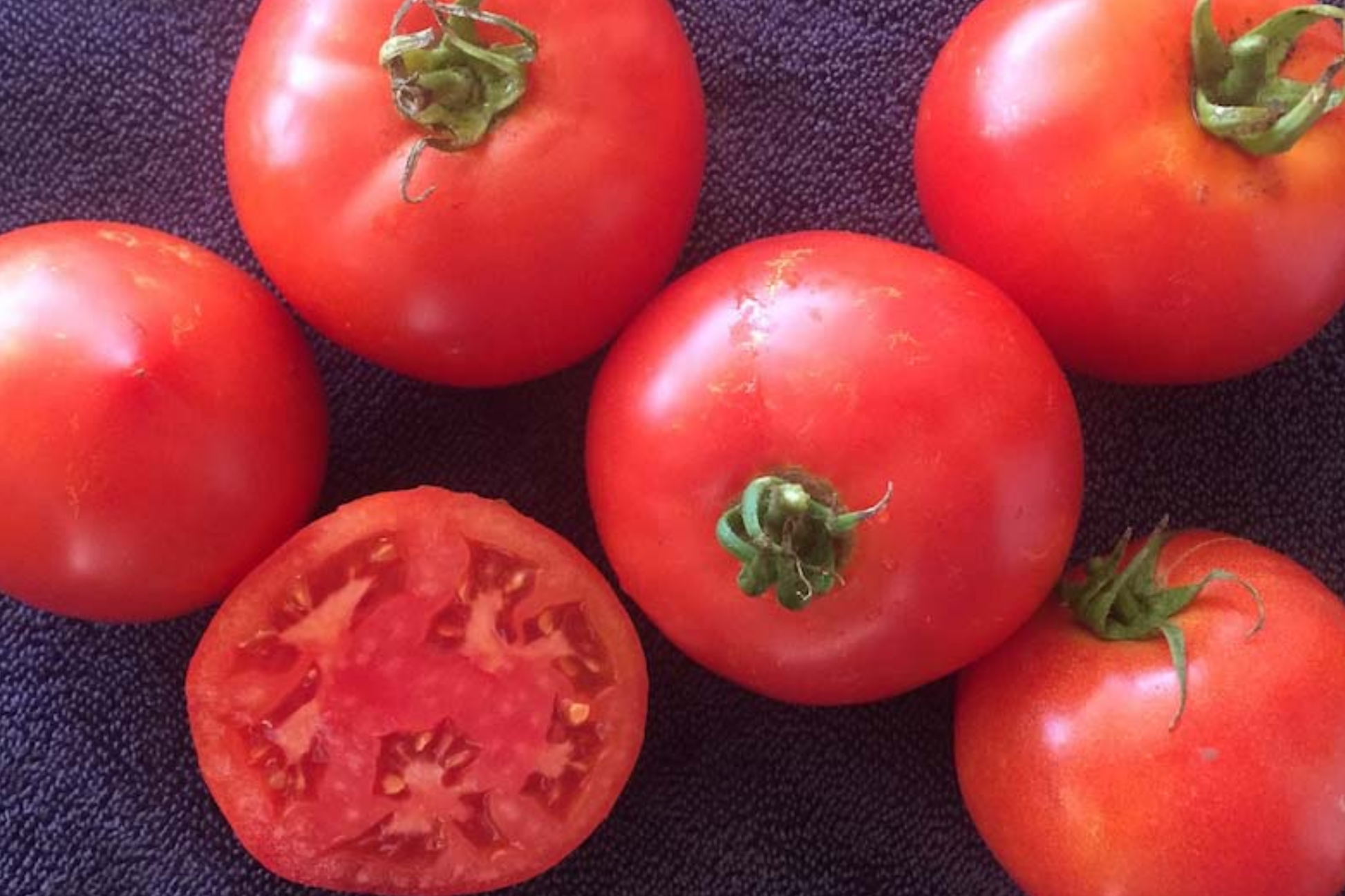 Tomato Seeds 100mg VR Moscow Heirloom Disease-Resistant Non-GMO Sweet Flavor High Yield Solanum lycopersicum