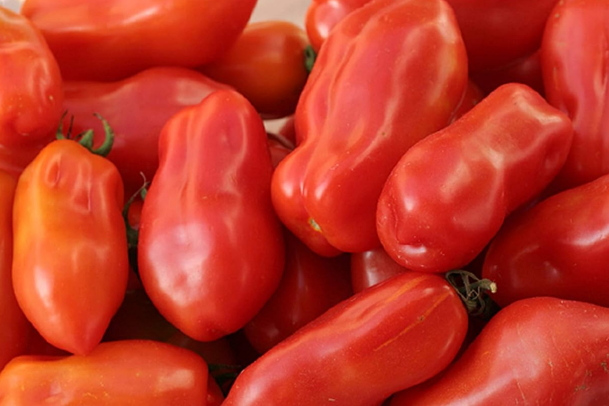 Tomato San Marzano Seeds - Heirloom, Non-GMO, Indeterminate, Perfect for Sauces & Canning - Solanum lycopersicum