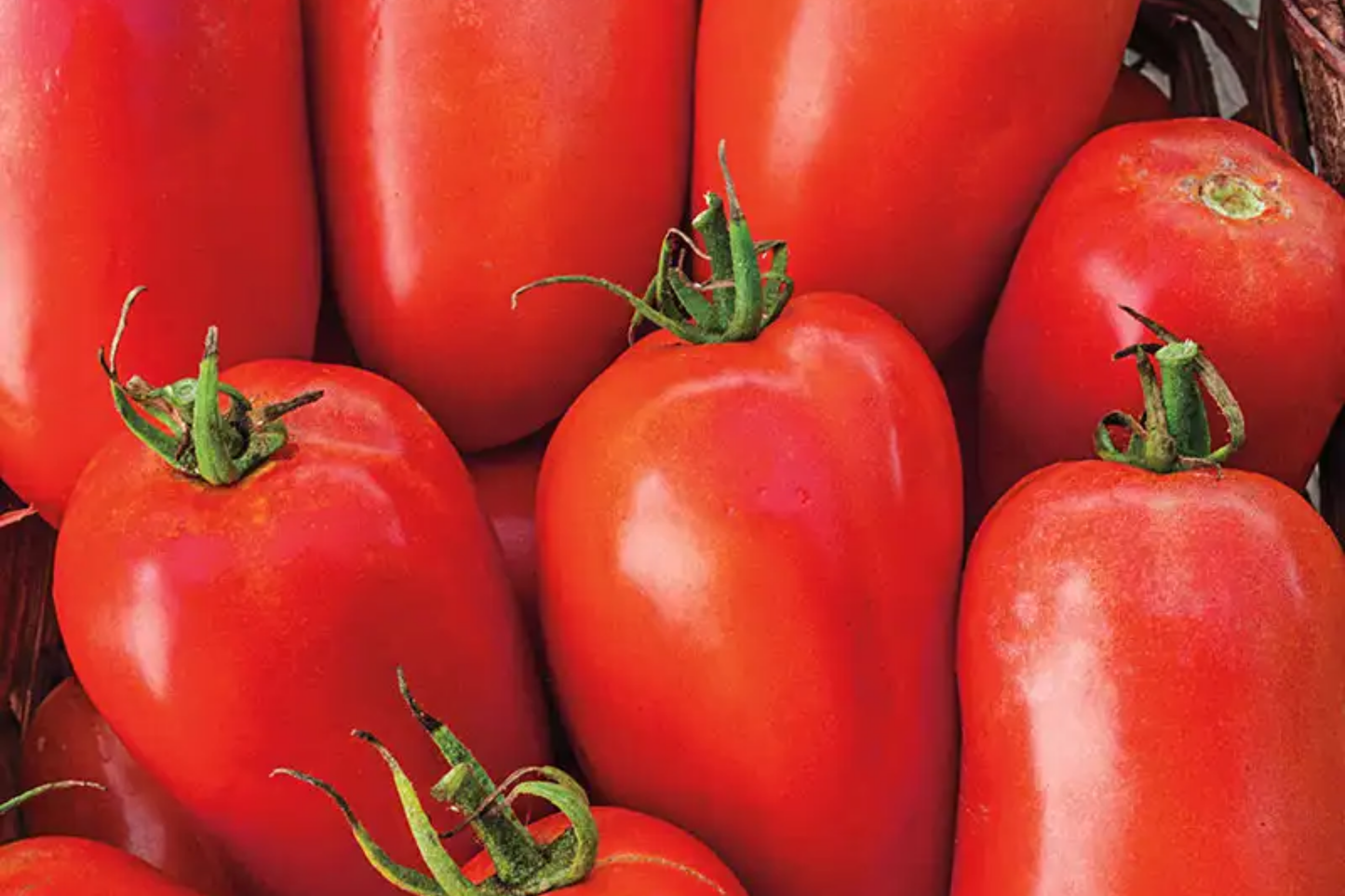 Tomato Roma Seeds 100mg Heirloom Non-GMO Solanum lycopersicum for Sauces, Canning, Pastes & Garden Harvests