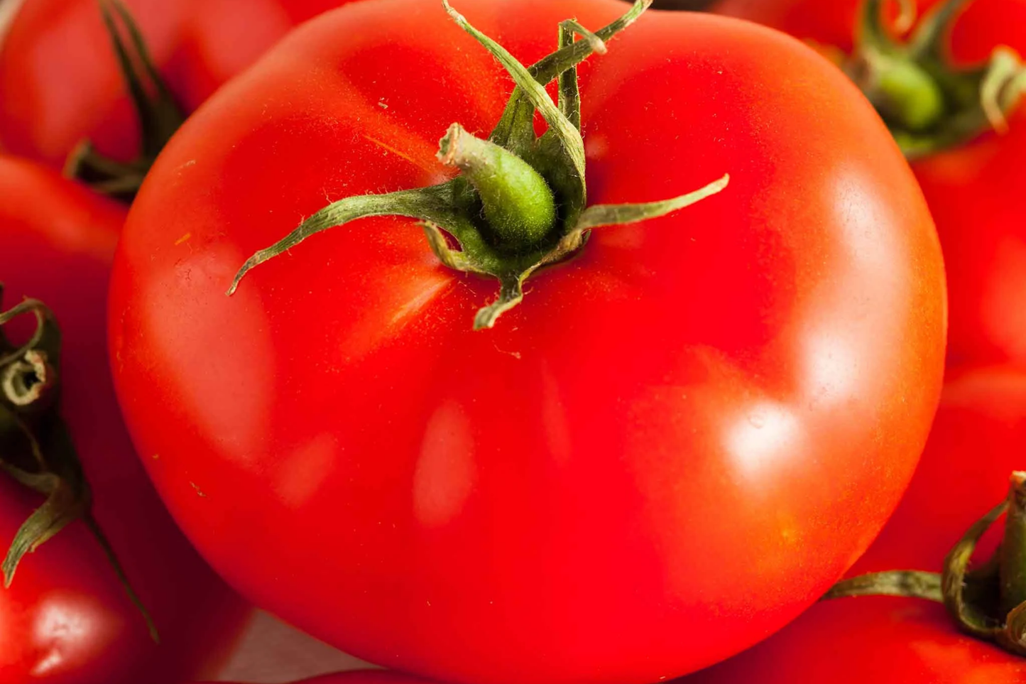 Tomato Beefsteak Seeds 300mg Heirloom Non-GMO Solanum lycopersicum for Slicing & Sandwiches