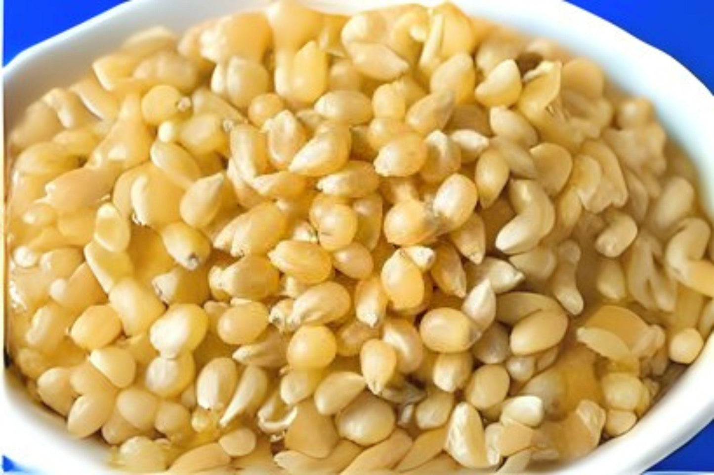 Japanese Hulless White Popcorn Seeds – Heirloom Zea mays everta, White Kernels, Dual-Purpose for Popcorn & Baby Corn