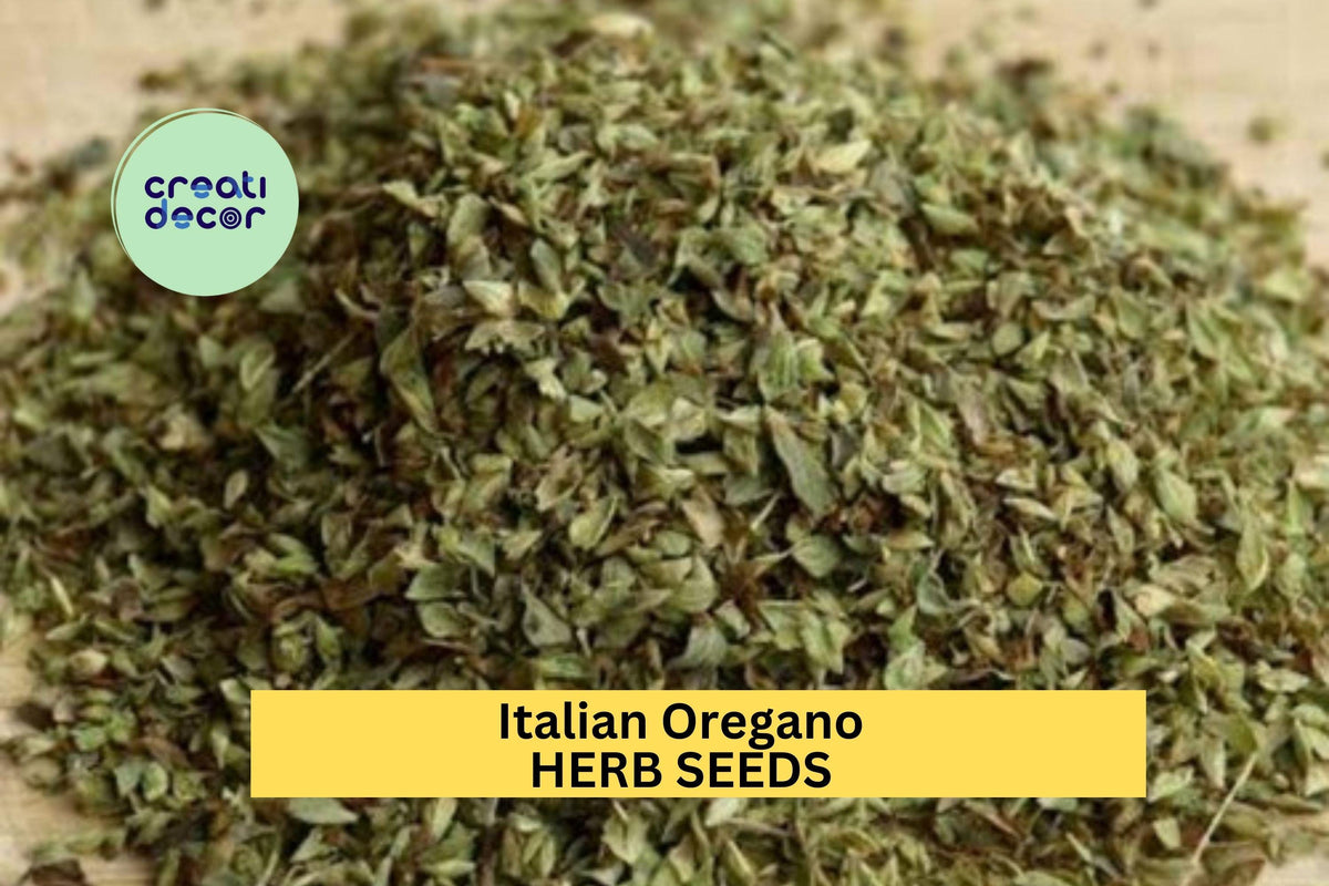 Italian Oregano Seeds 3pcs 100mg - Culinary Herb for Pizza & Pasta, Origanum vulgare, Mediterranean Garden Planting