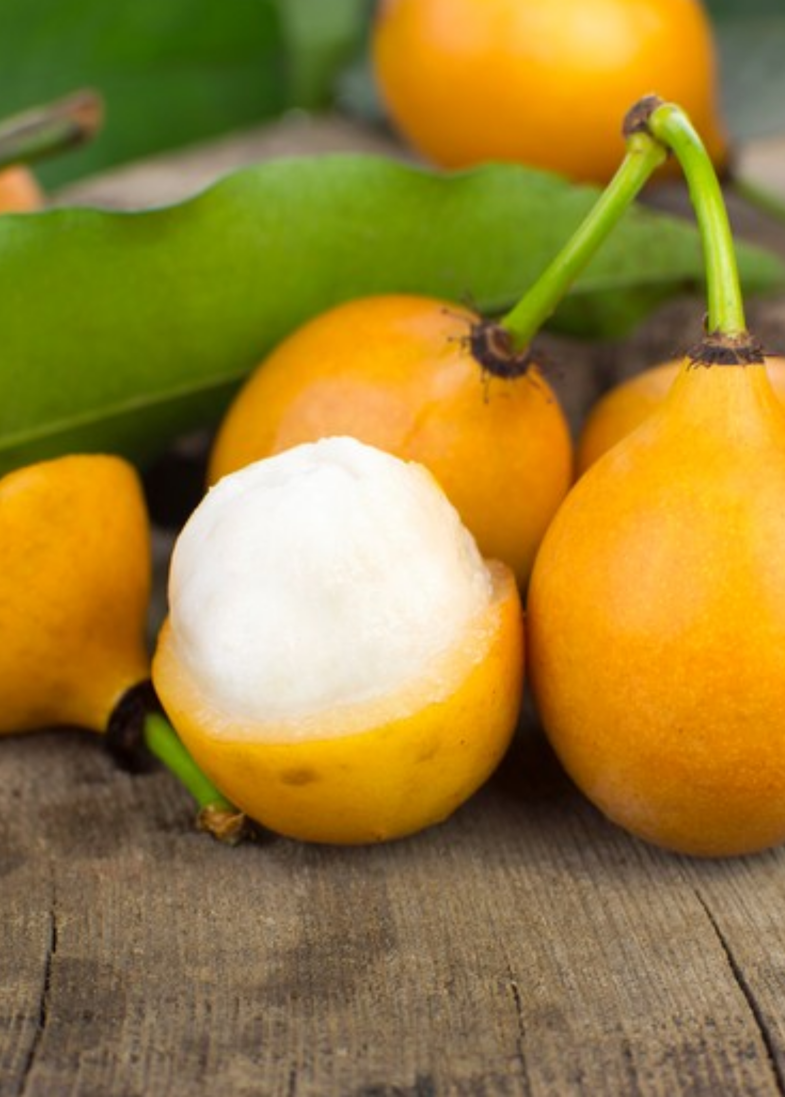 Achacha Tree Garcinia humilis Fruit Plant, Medium Size, Edible Tropical Fruit, South American Native, Drought Tolerant
