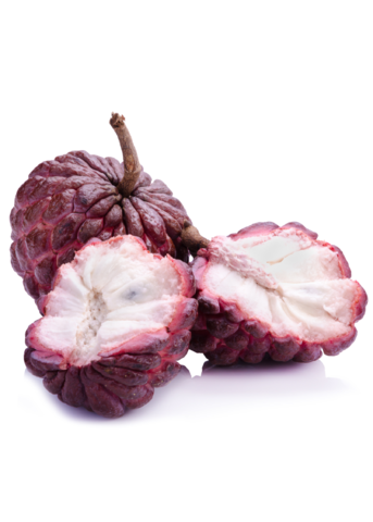 Red Sugar Apple Seedling Annona squamosa L. Tropical Fruit Tree, Pink Fruit, Vitamin Rich, Edible Fruit Plant