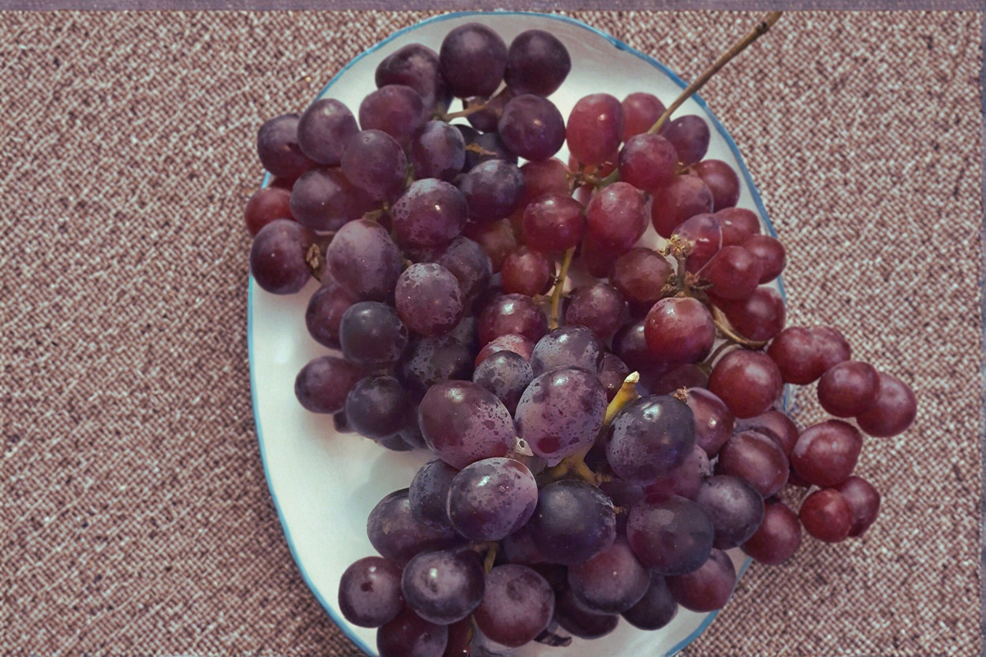 Victoria Red Seedless Grape Vine Live Plant 4–6 ft Climbing Fruit Vine for Garden & Vineyard