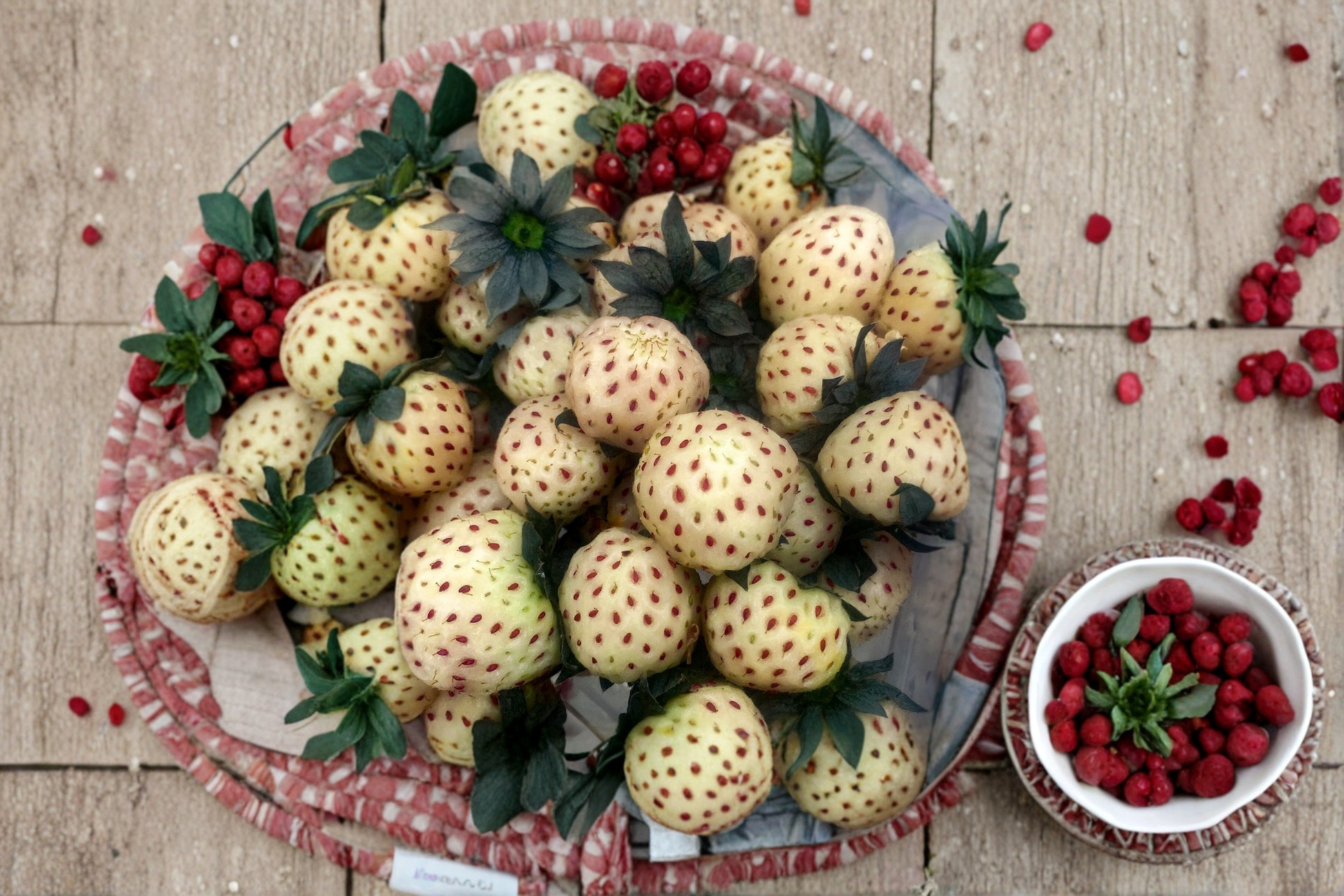White Pineberry Strawberry Plants – 20 Bare Root Fragaria Pineberry Live Plants for Garden & Containers