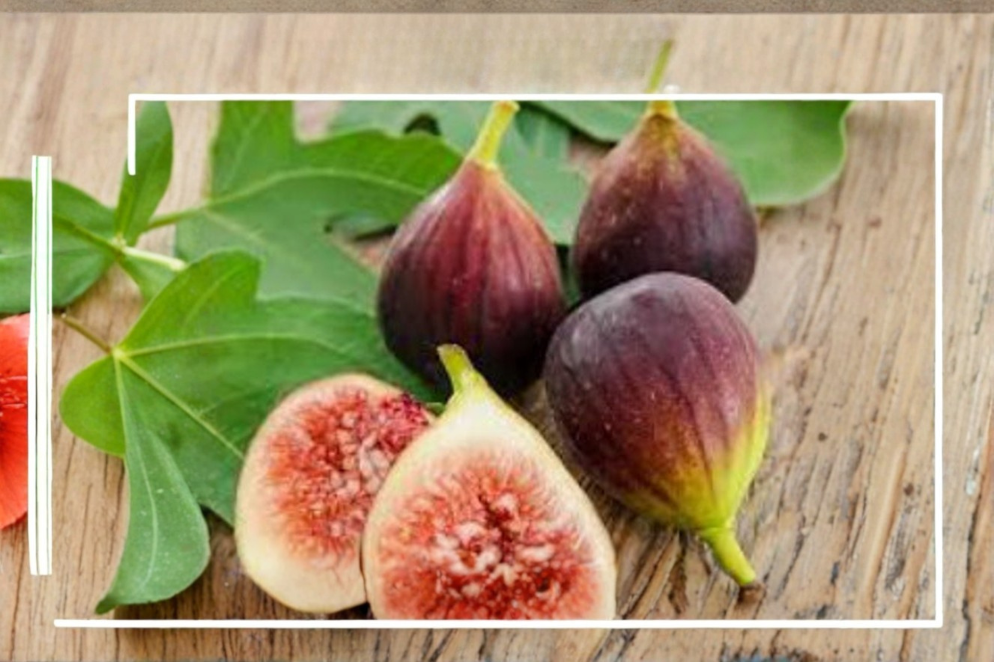 Fig Tree Seeds – 100 Seeds for Indoor & Outdoor Growing, Ficus carica, Edible Fruit, Container Friendly