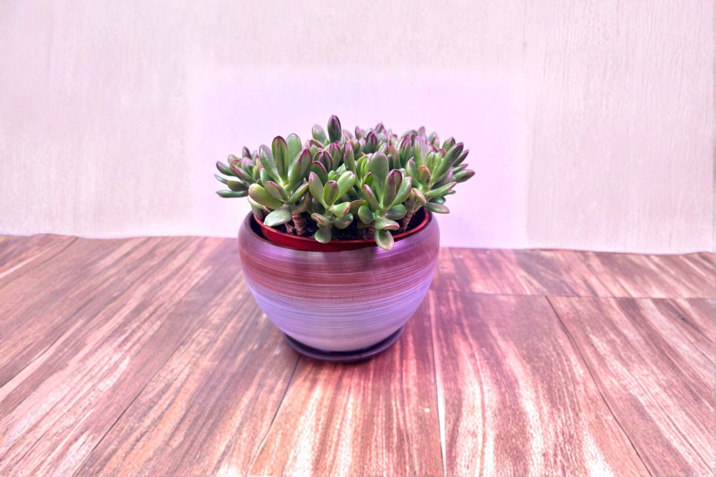 Gradient Glazed Ceramic Planter 4x3 Inches for Succulents, Cacti, Herbs, Indoor Houseplants