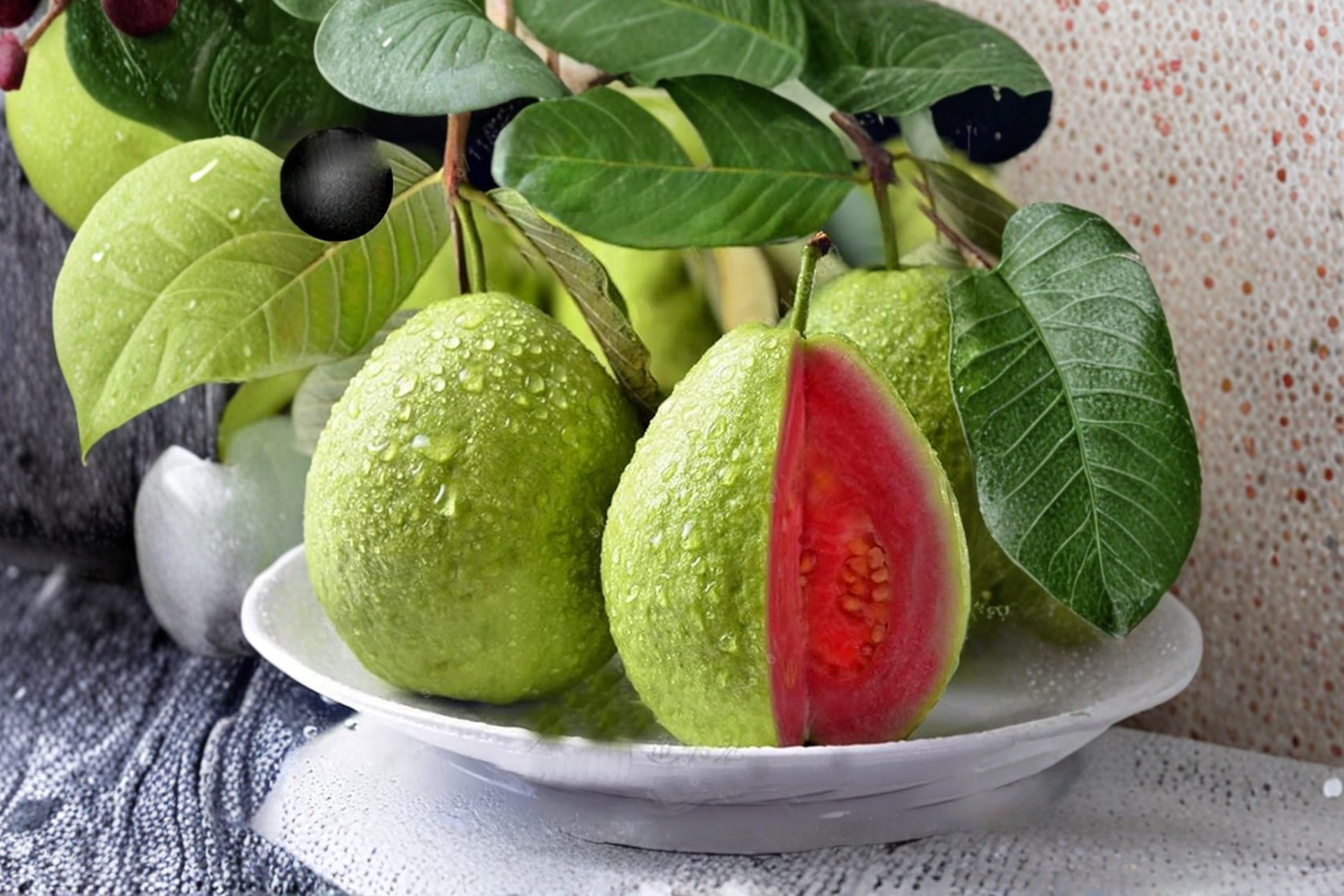 Giant Guava Seeds – Tropical Fruit Tree for Indoor & Outdoor Growing – Psidium guajava
