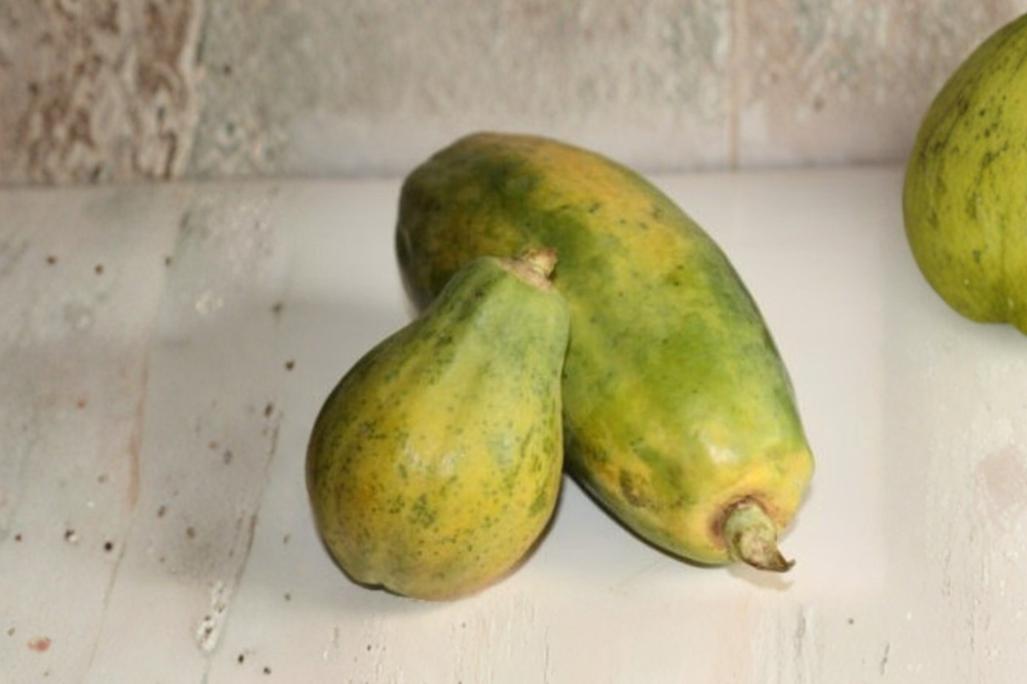 Giant Papaya Seeds - Rare Tropical Fruit Variety for Outdoor Garden & Container Growing - Carica papaya