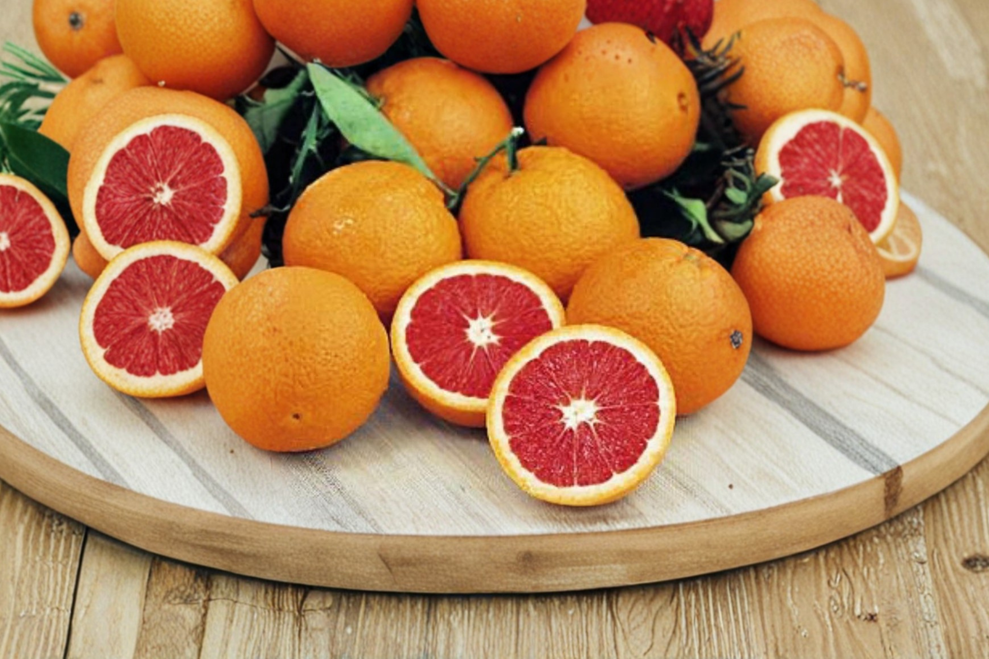 Dwarf Red Navel Orange Tree Live Citrus Plant 2ft with Fruit & Flowers – Citrus sinensis, Air Layered