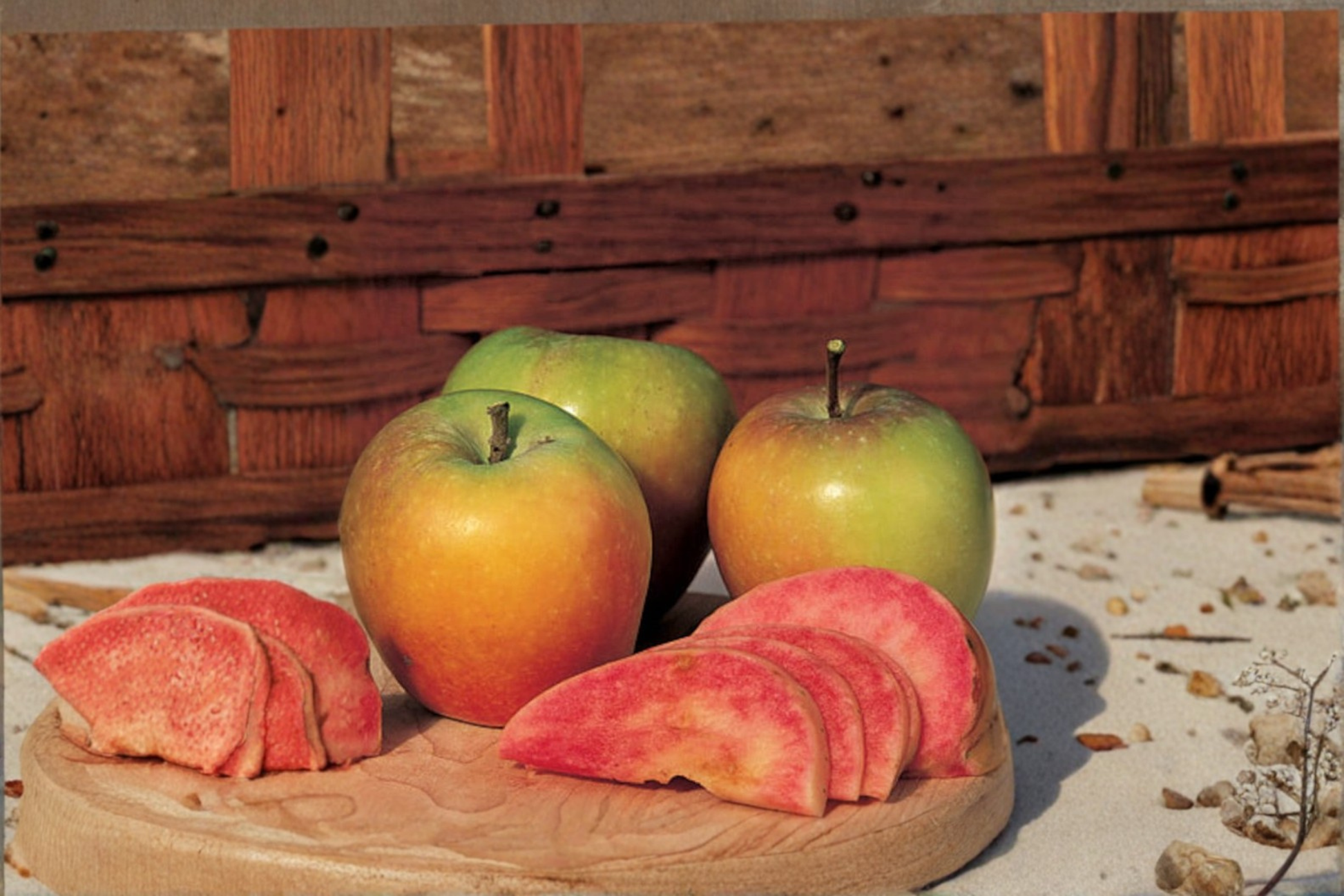 Dwarf Mountain Rose Apple Tree Grafted Live Plant 1-Gallon Pot Malus domestica 'Mountain Rose'