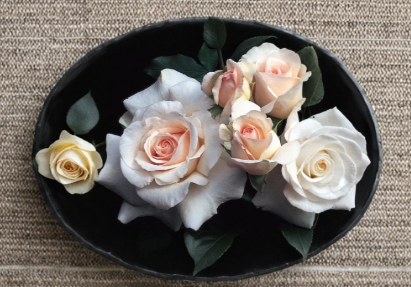 French Lace Rose Cuttings 3 Pack Unrooted Stem for Propagation Ornamental Garden Rose Rosa spp.