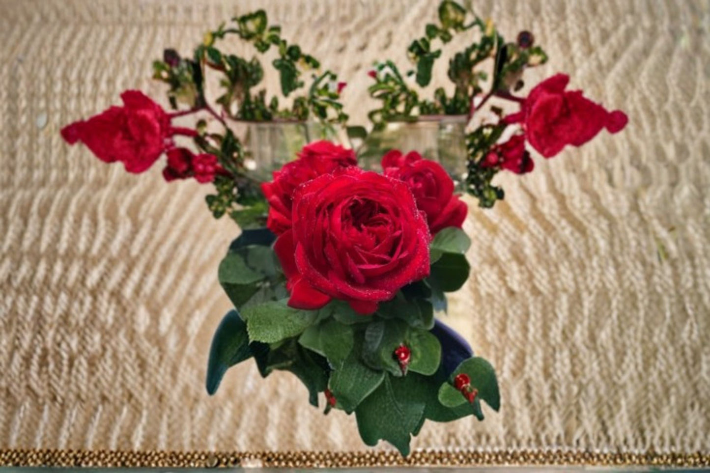 Francois Rose Live Plant – Blood Red Double Garden Rose Shrub